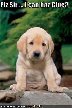 puppy clue