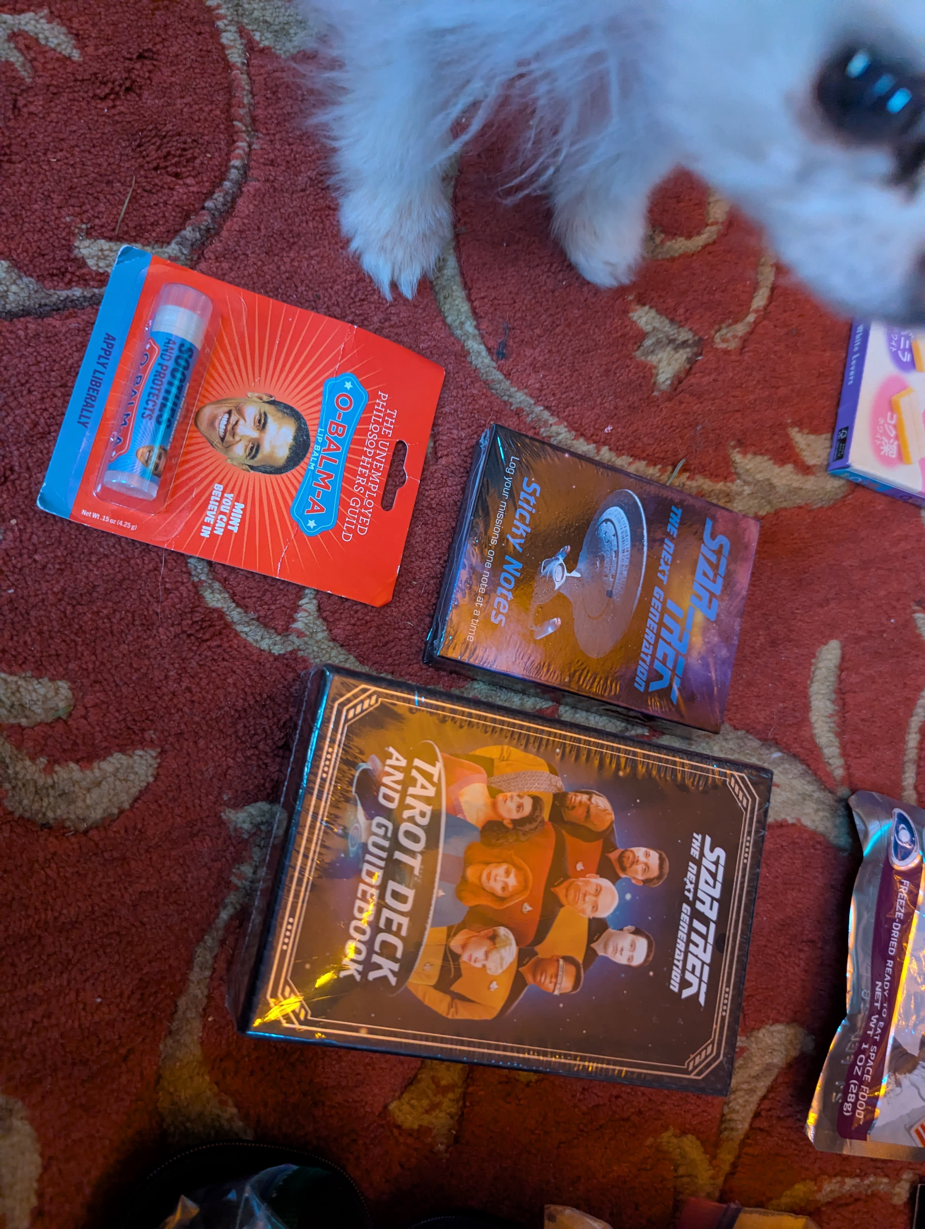 Star Trek TNG Tarot and sticky notes