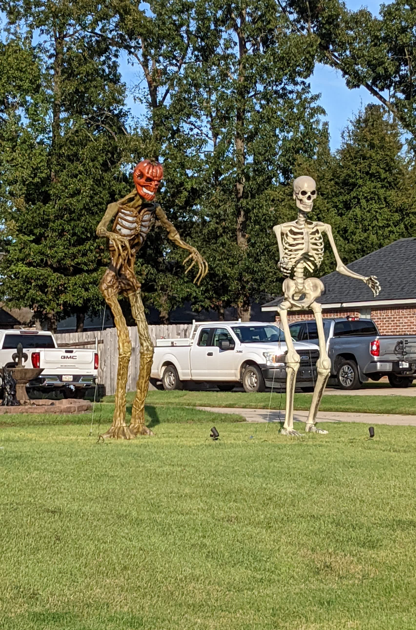 skellytons