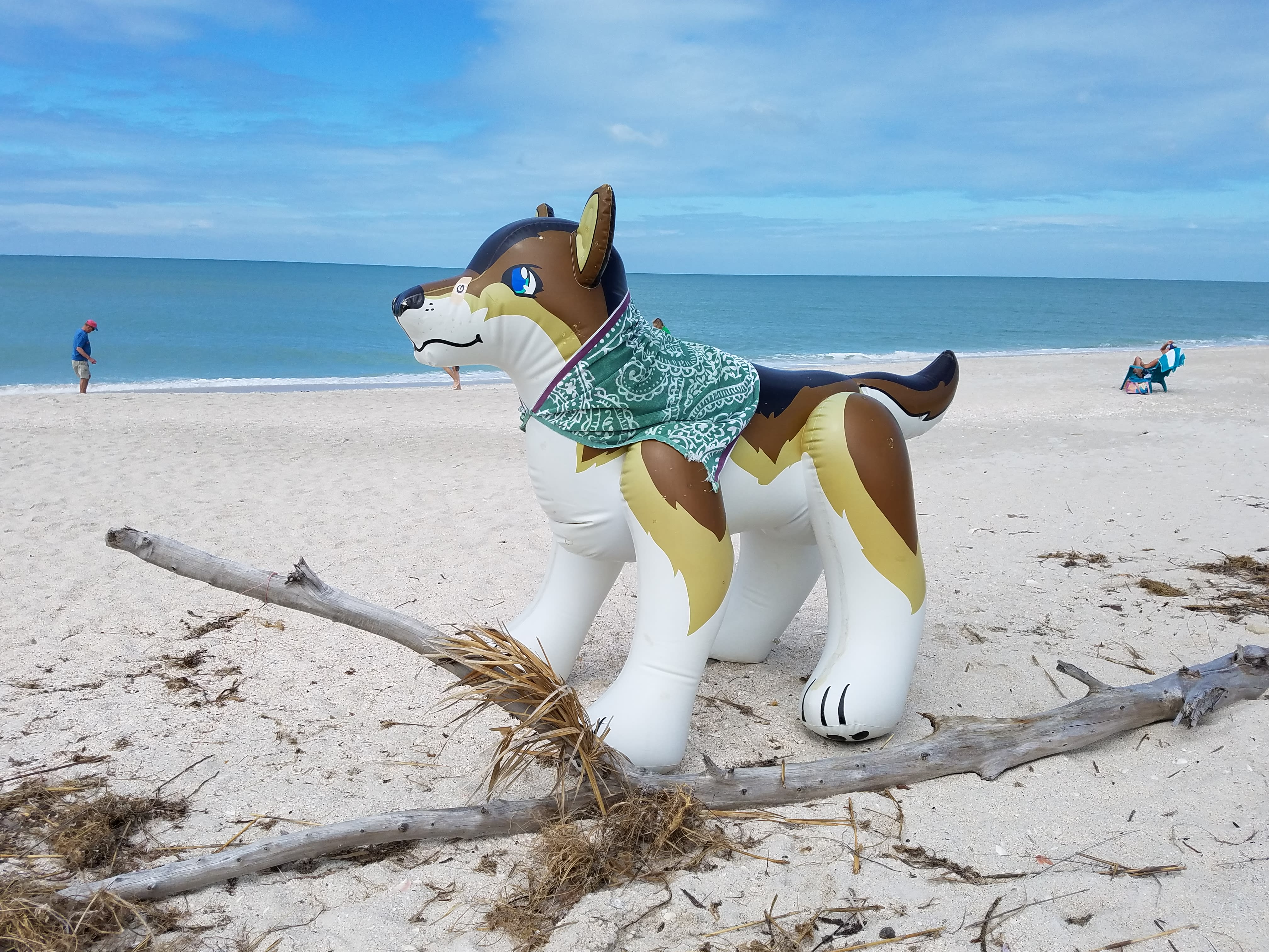 Fenris loves the beach