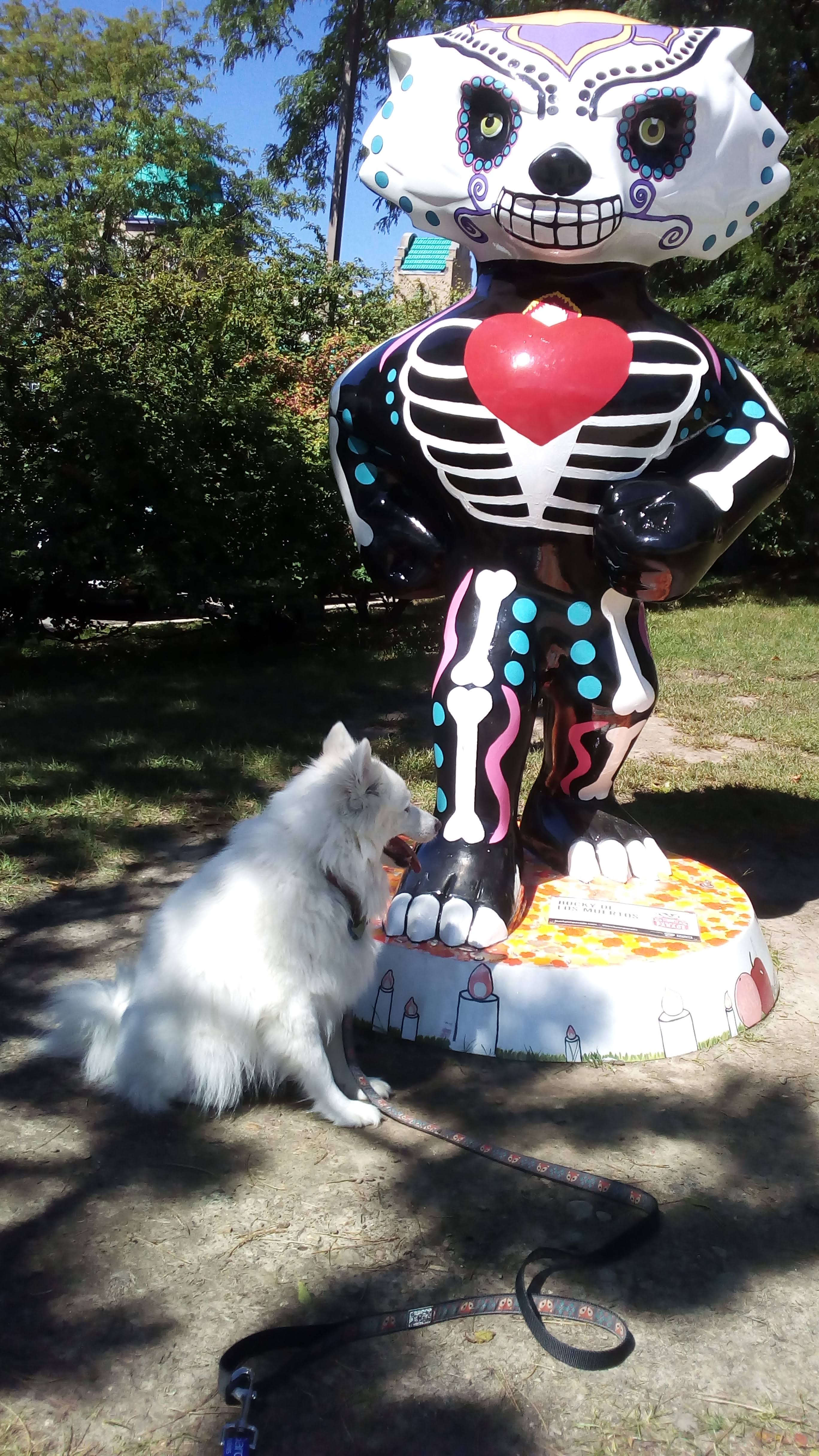 Panda checking out Bucky Badger