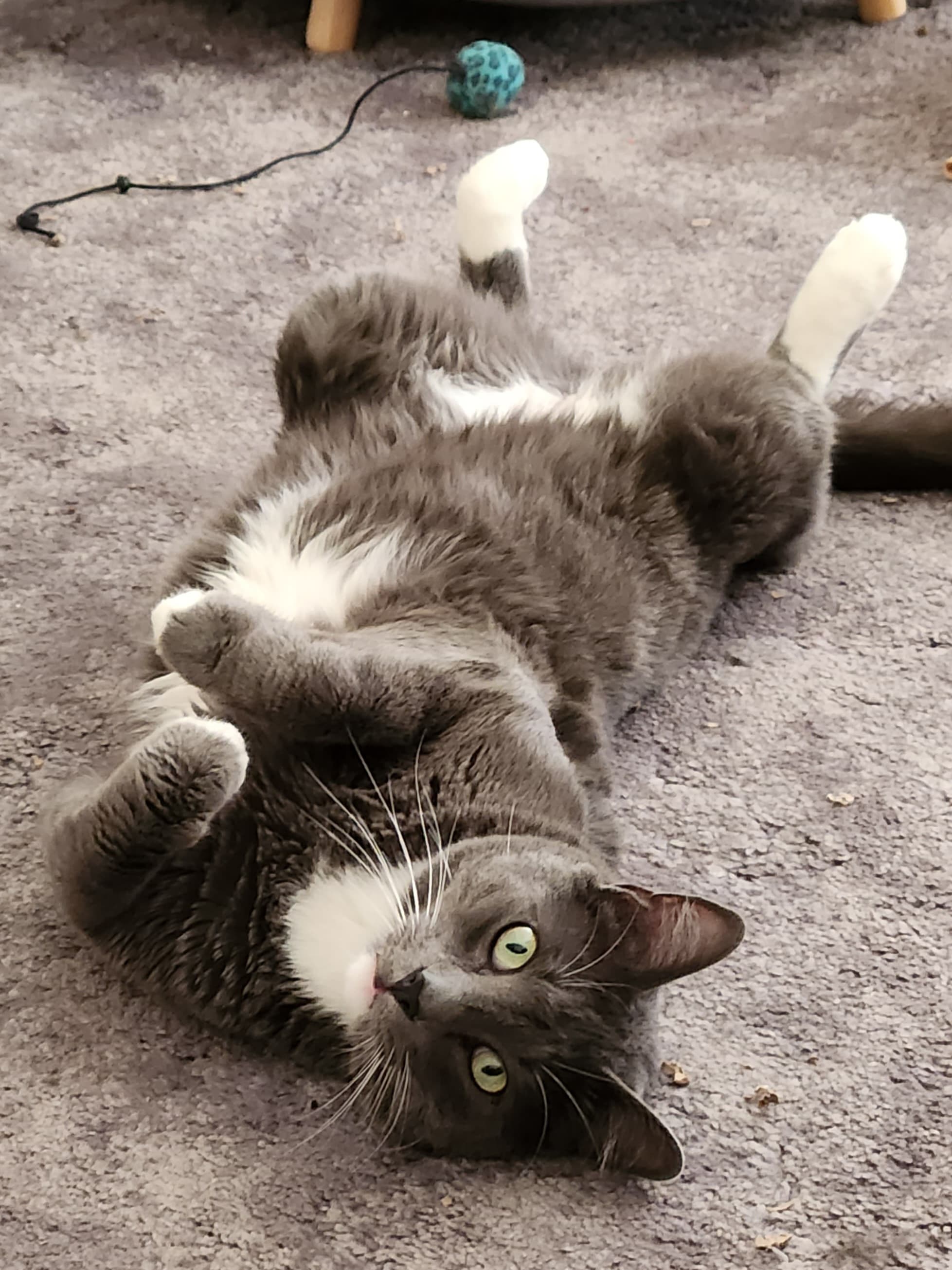 enter image description here