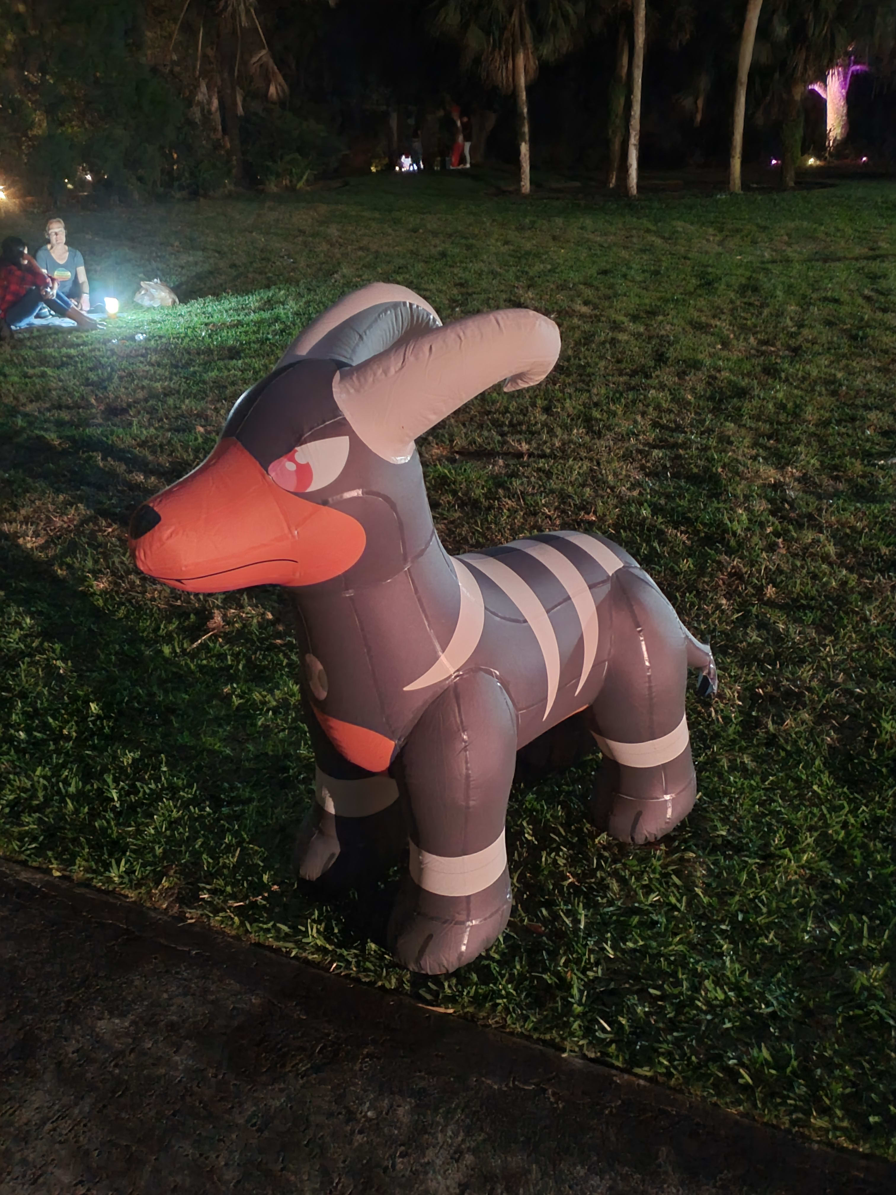 Inflatable Houndoom!