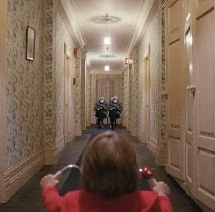 the shining Bernies