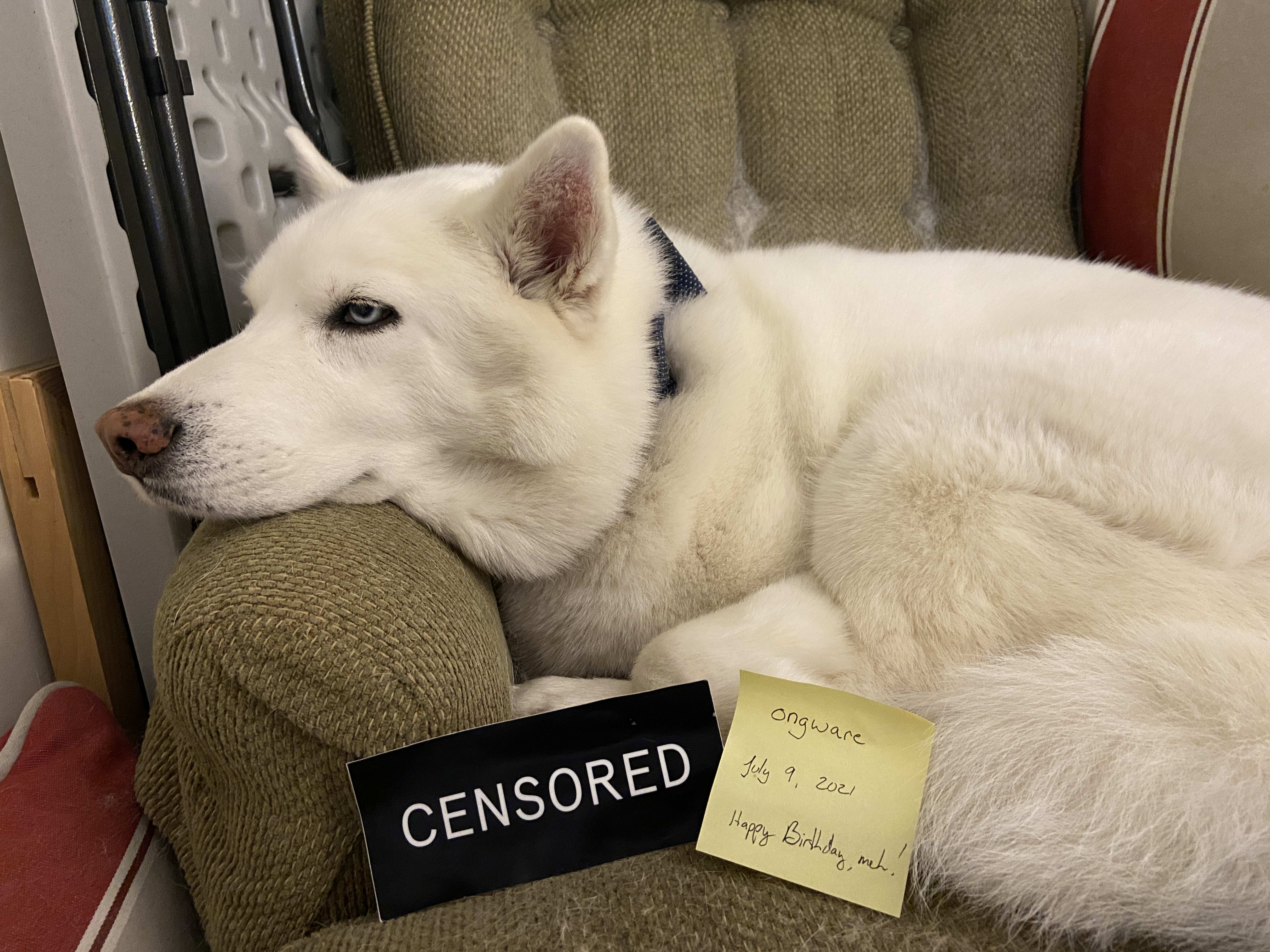 still terribad at uploading…