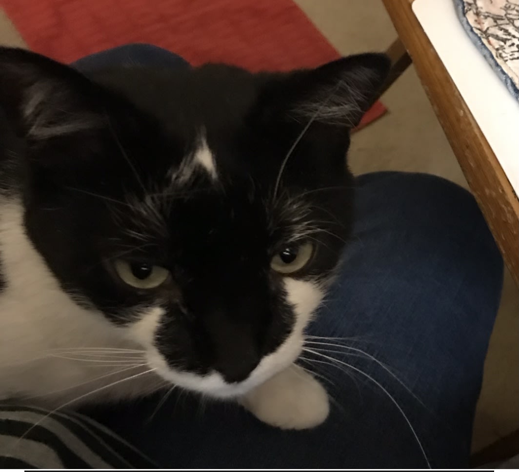 enter image description here