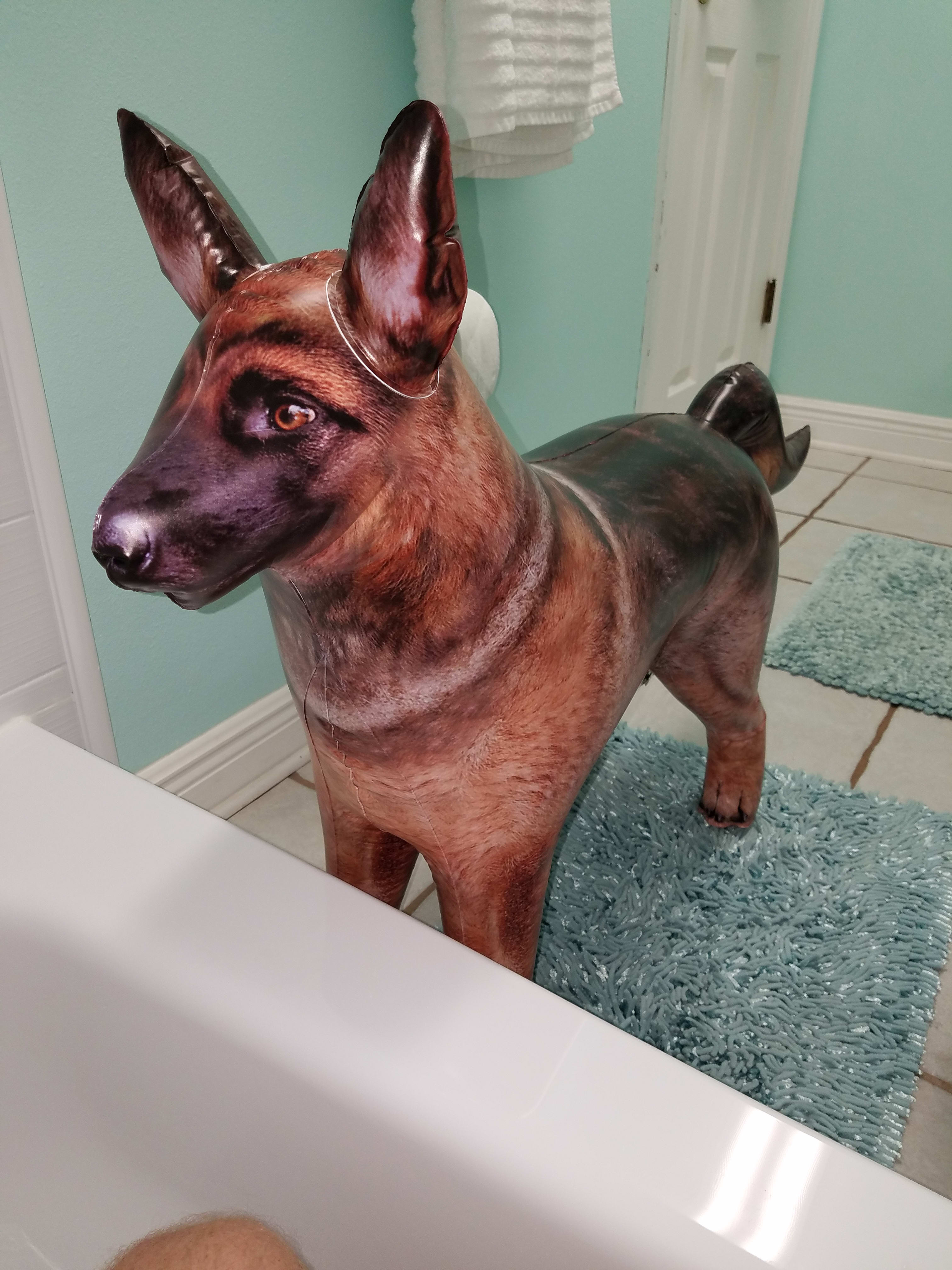 Bath time!