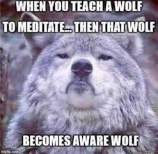 aware wolf