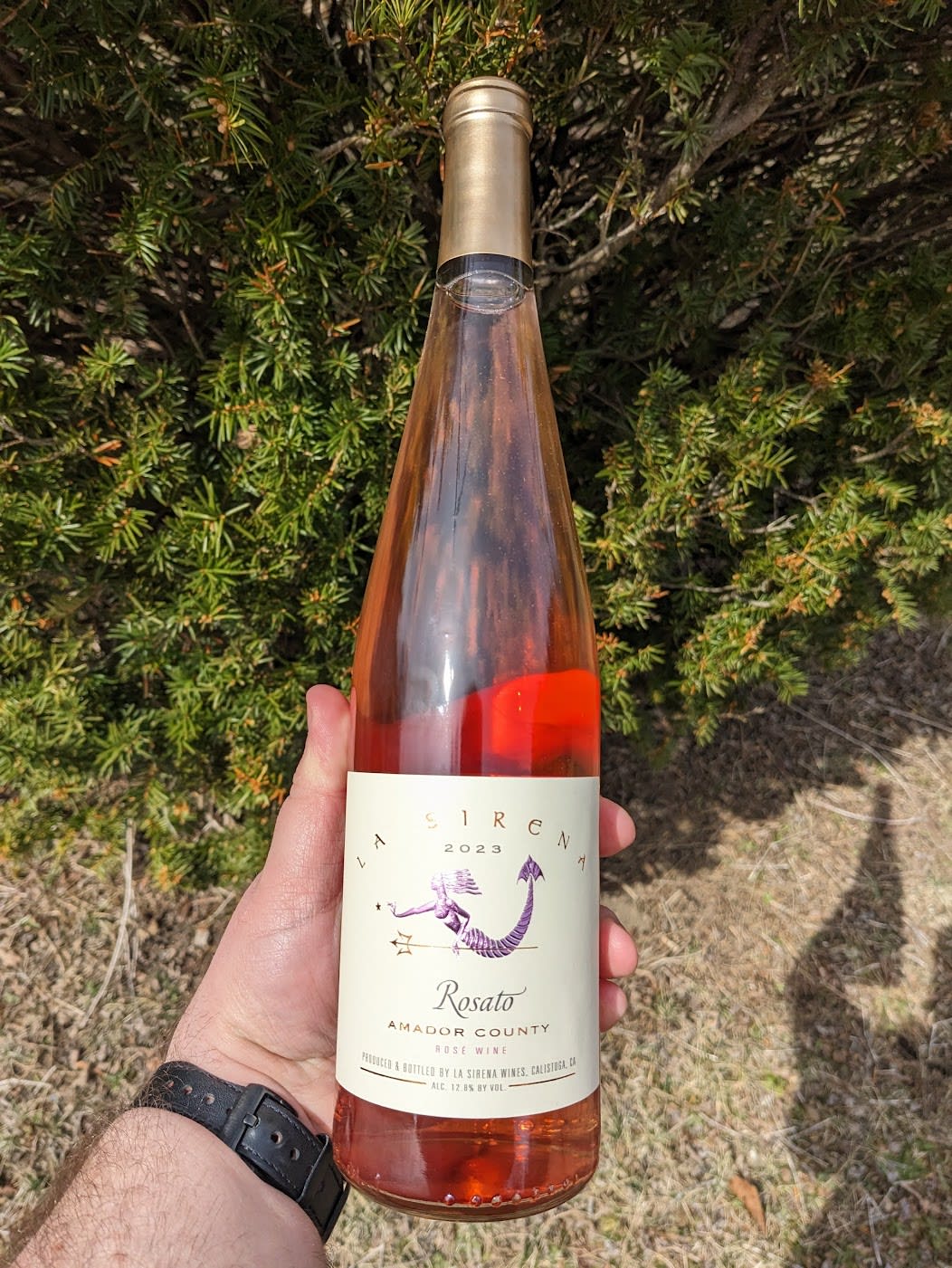 Bottle of 2023 La Sirena