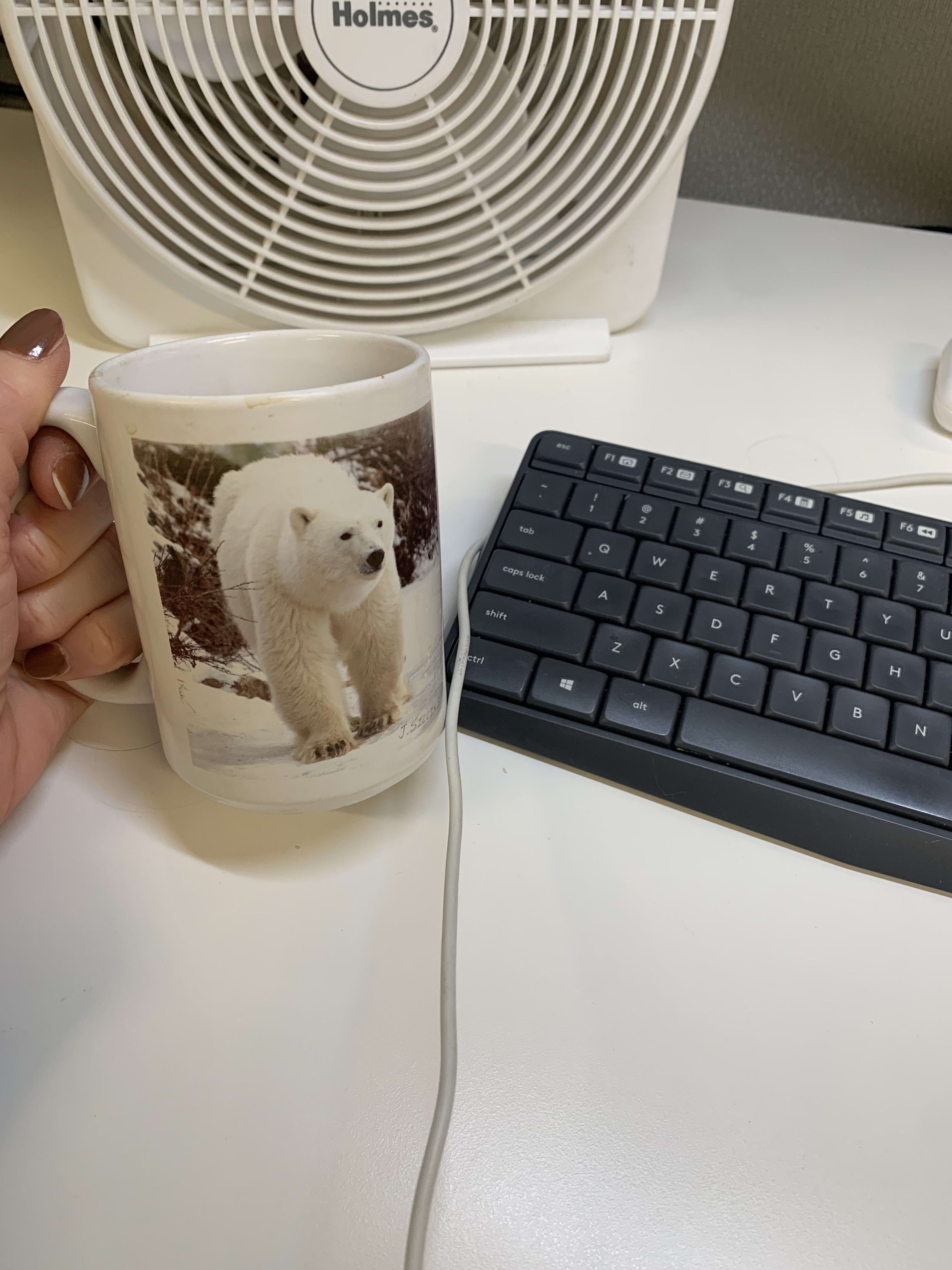 because polar bears are wonderful and adorable
