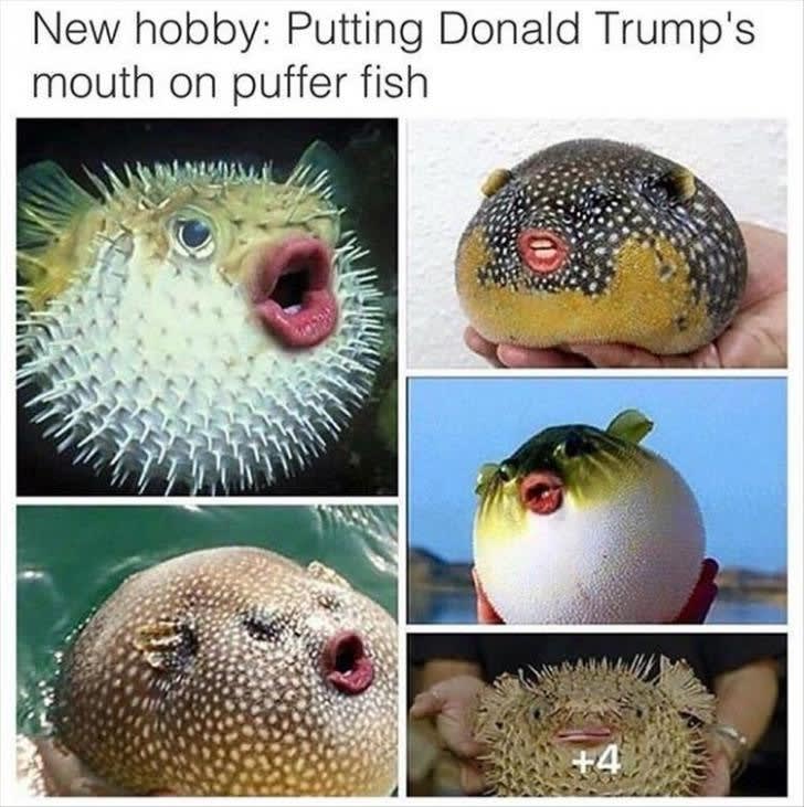PUFFERFISH
