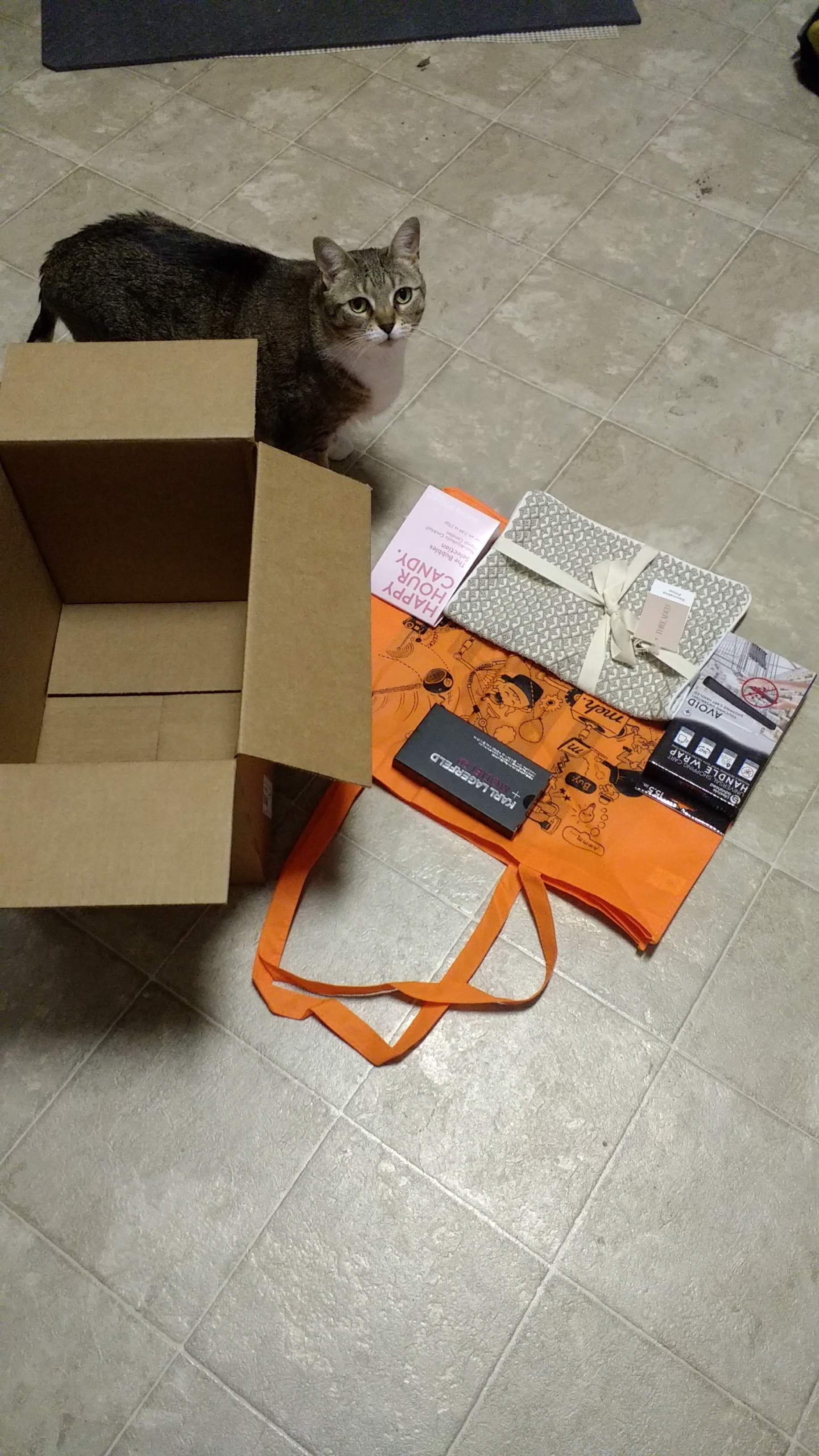 A nice box that Kota has claimed as hers.