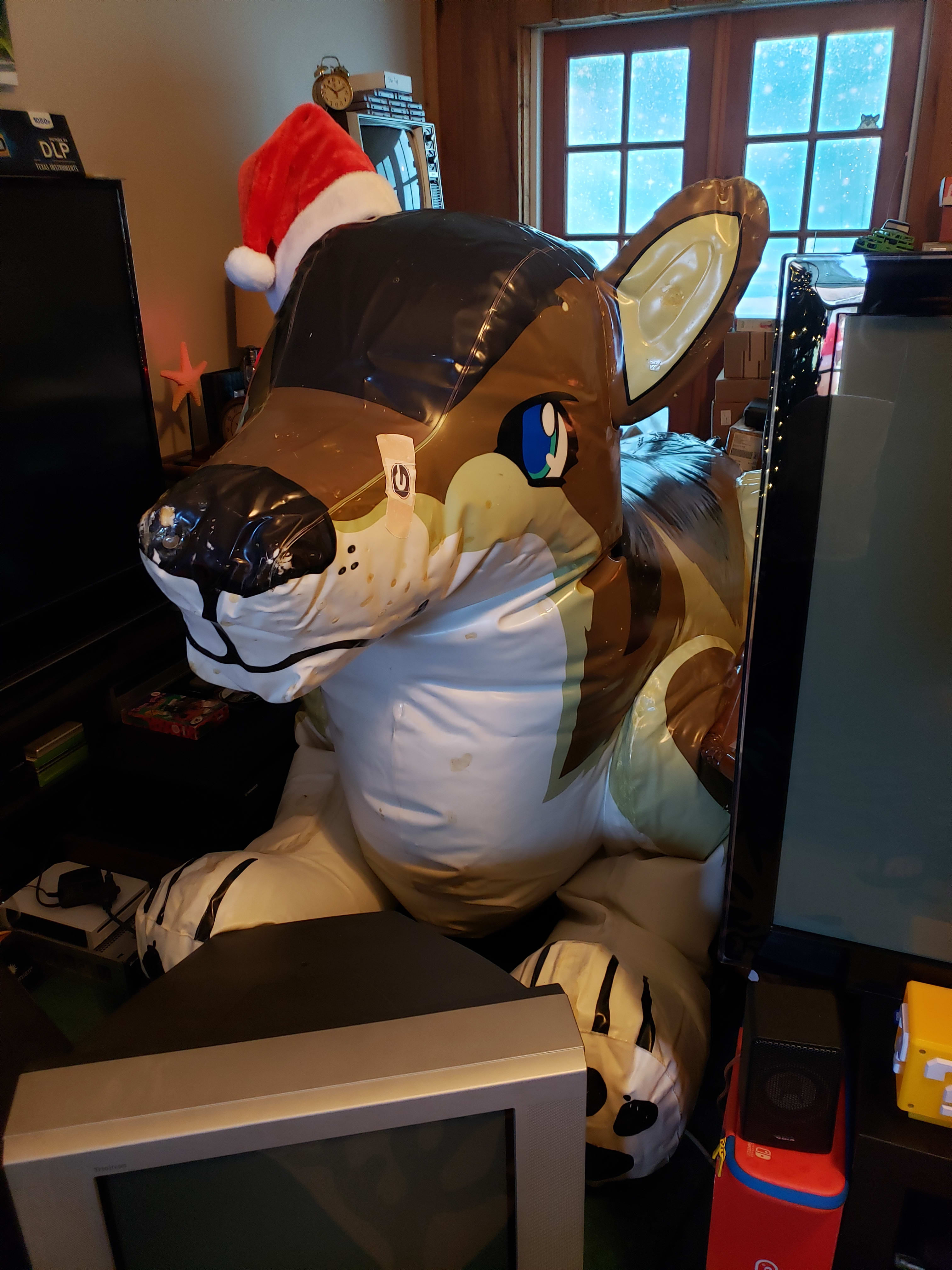 He's a bit leaky, but still happy!