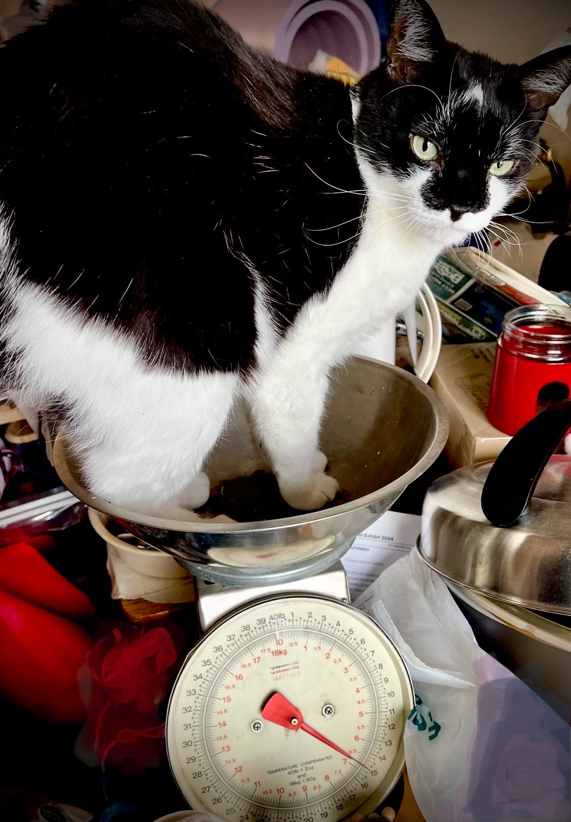 enter image description here