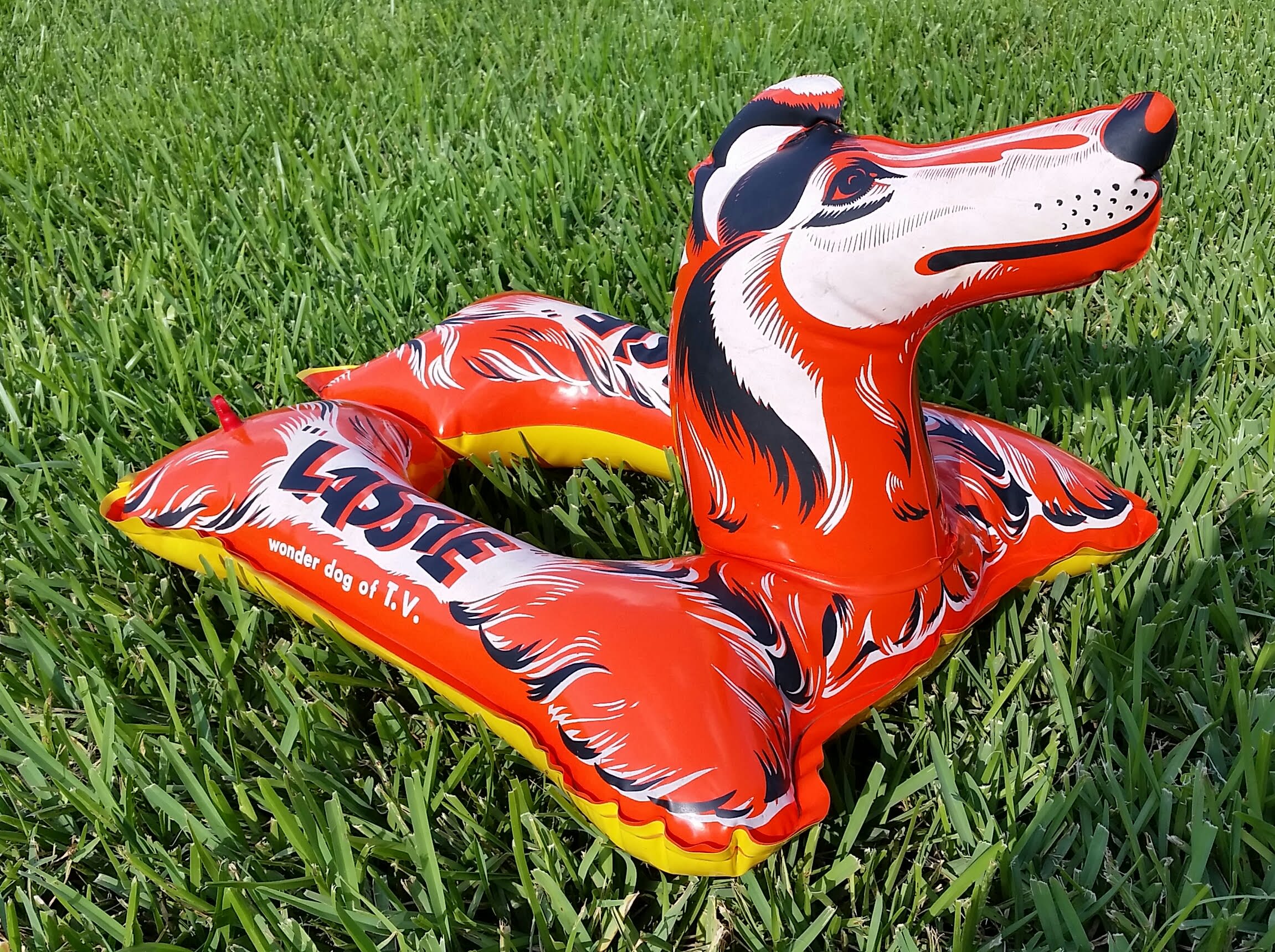 After her first bath