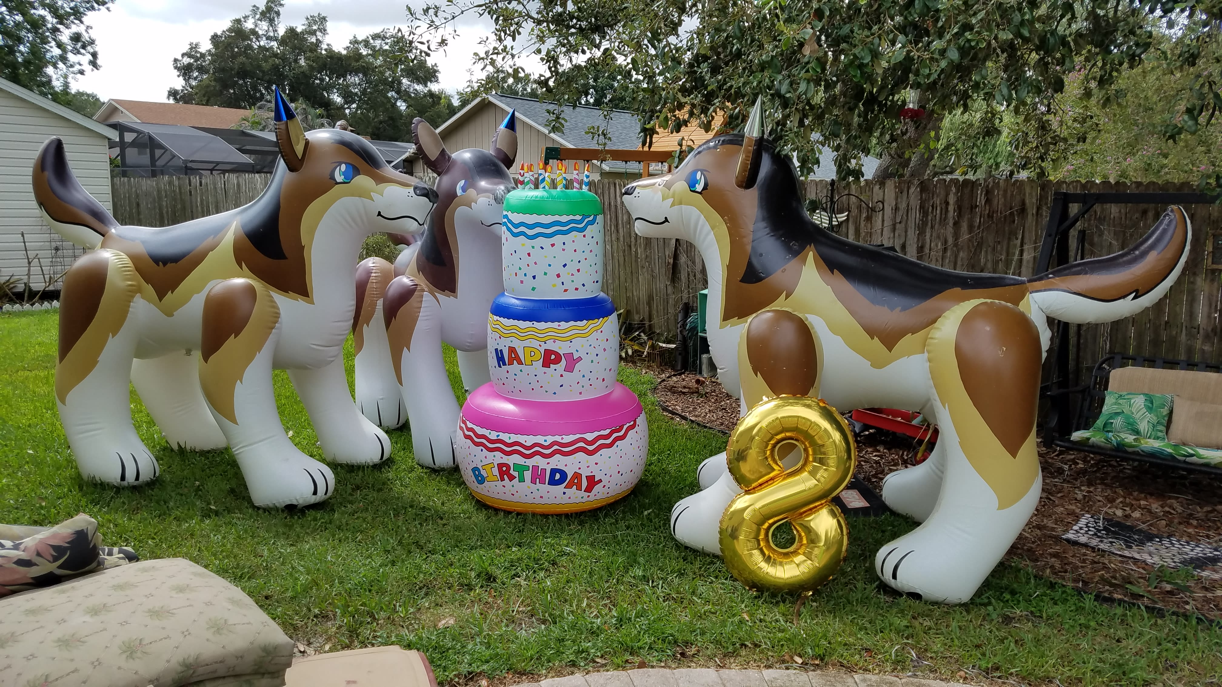 Pic is from Fenris's 8th, in 2018.