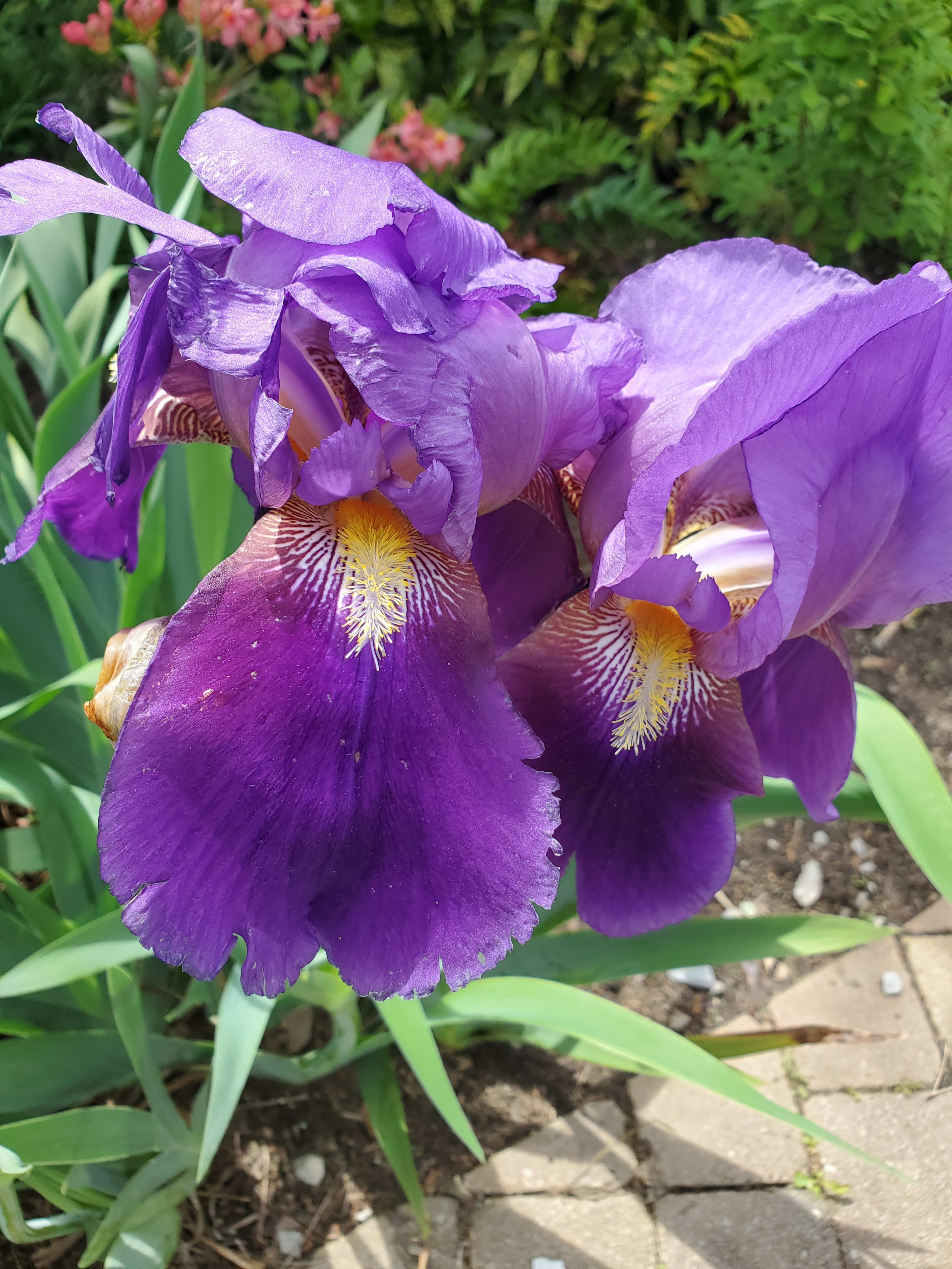 enter image description here