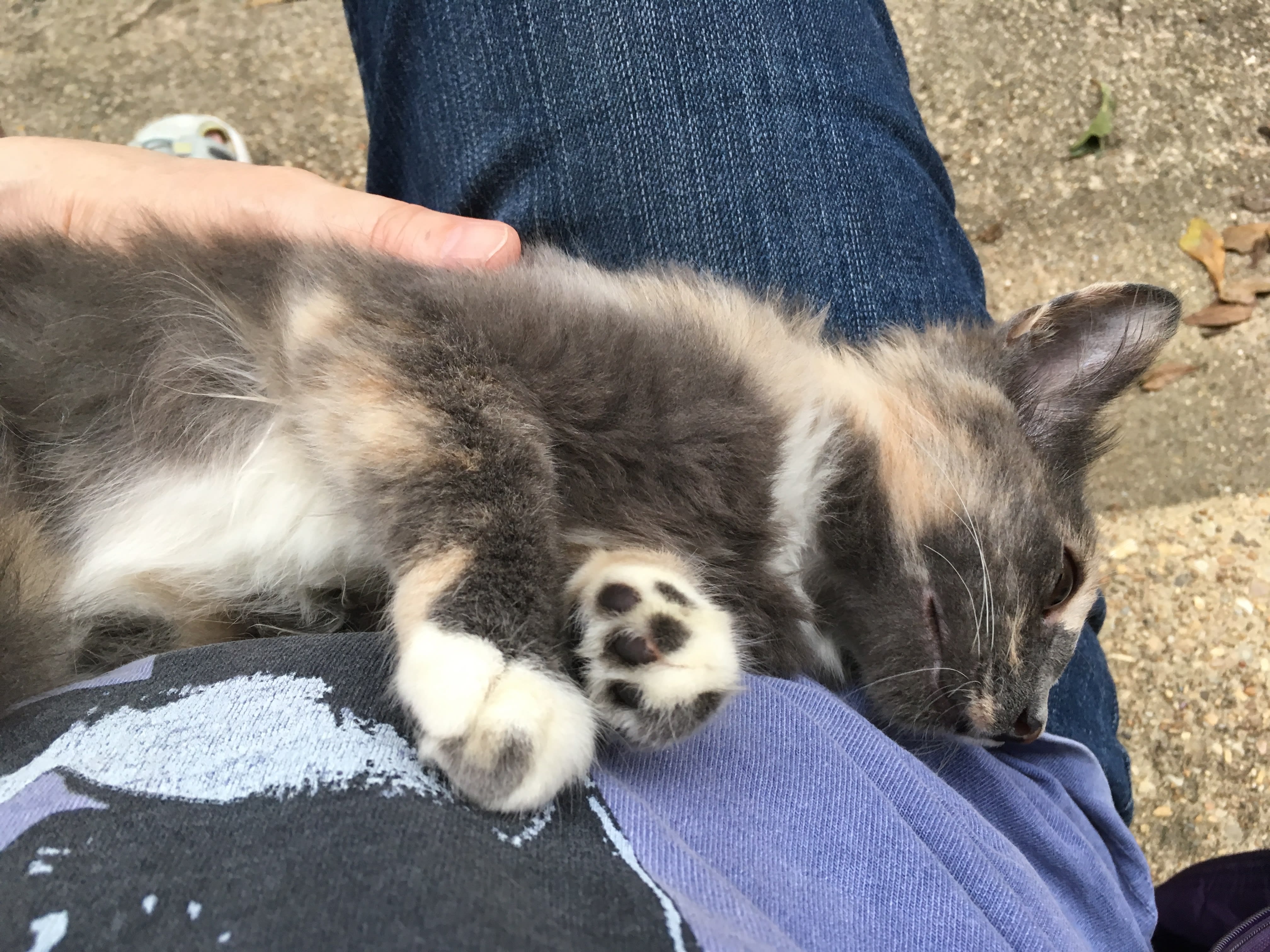 enter image description here