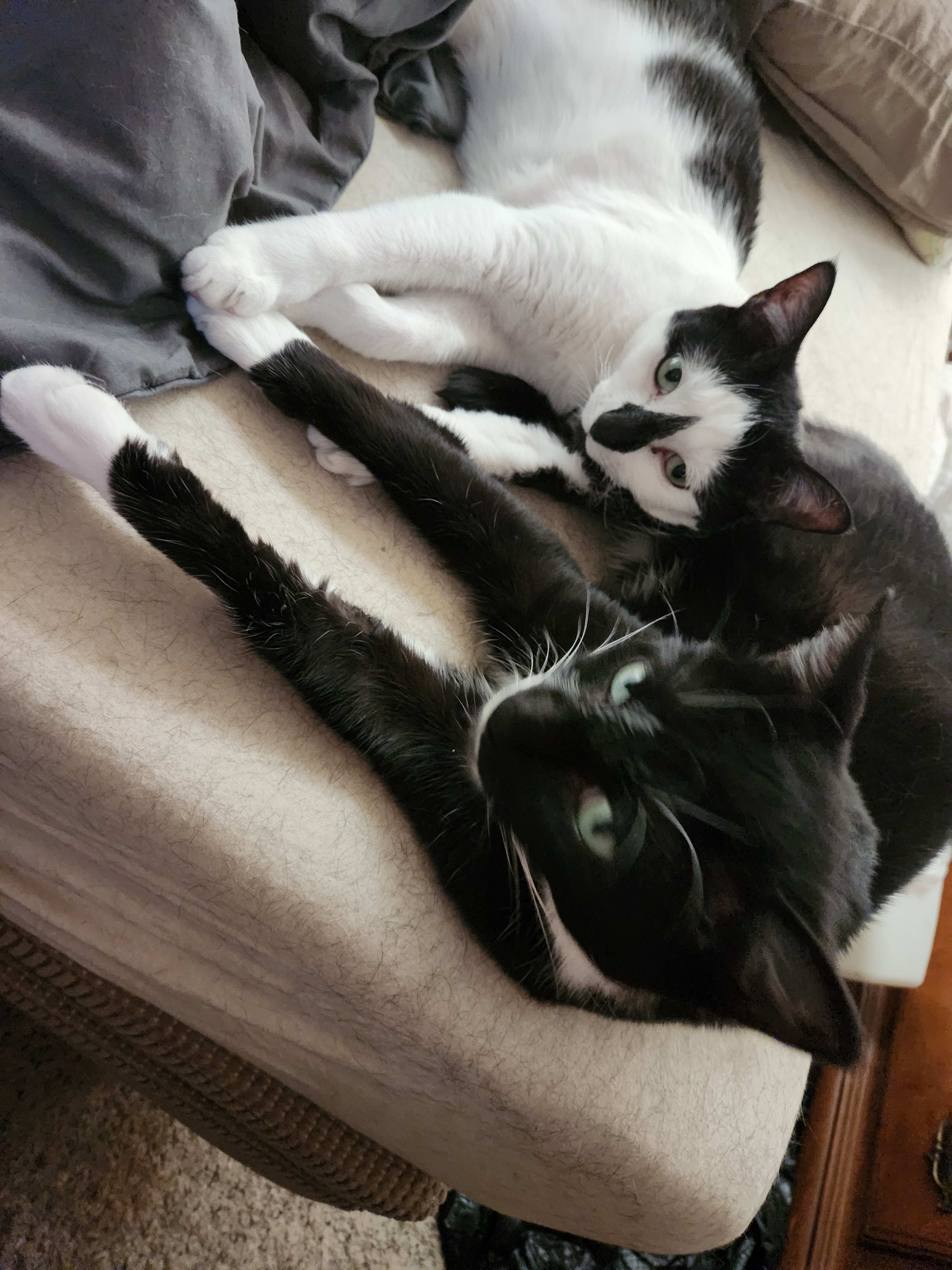 enter image description here