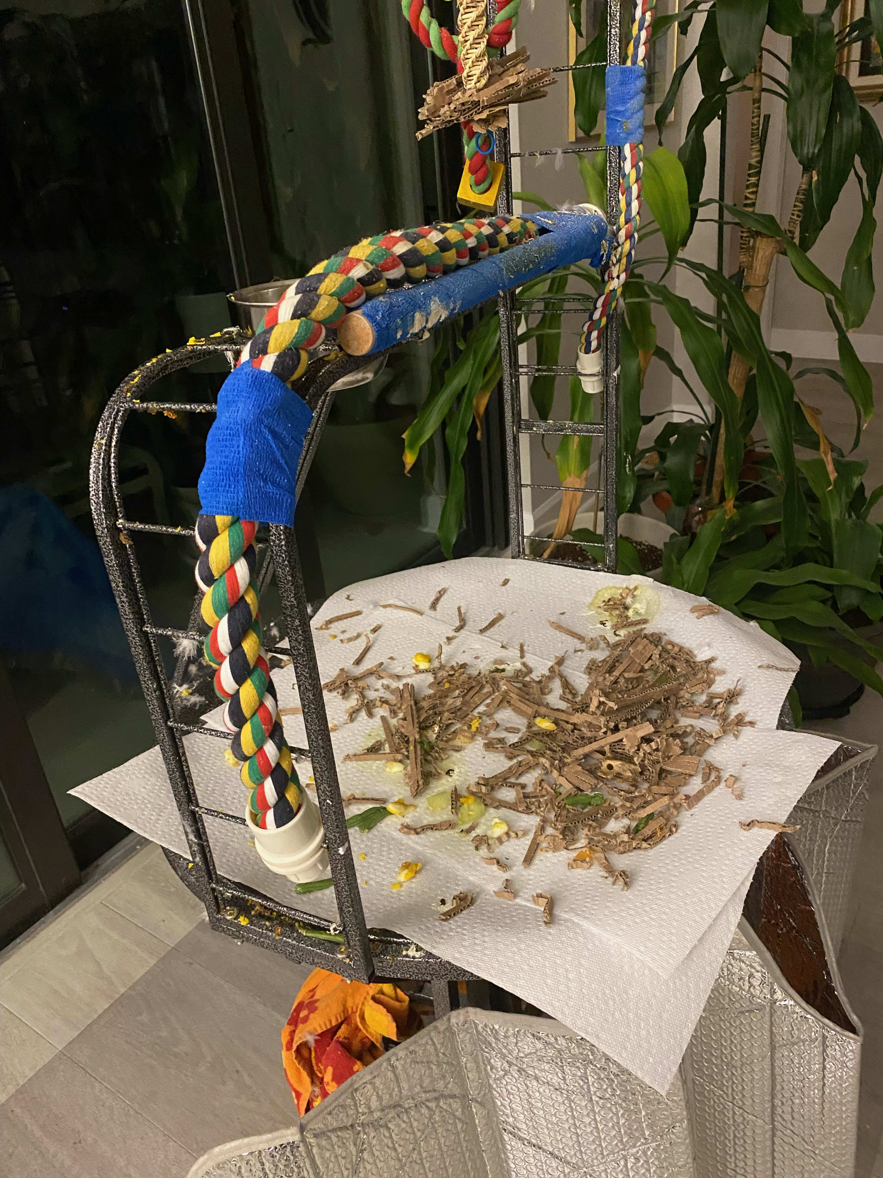 enter image description here