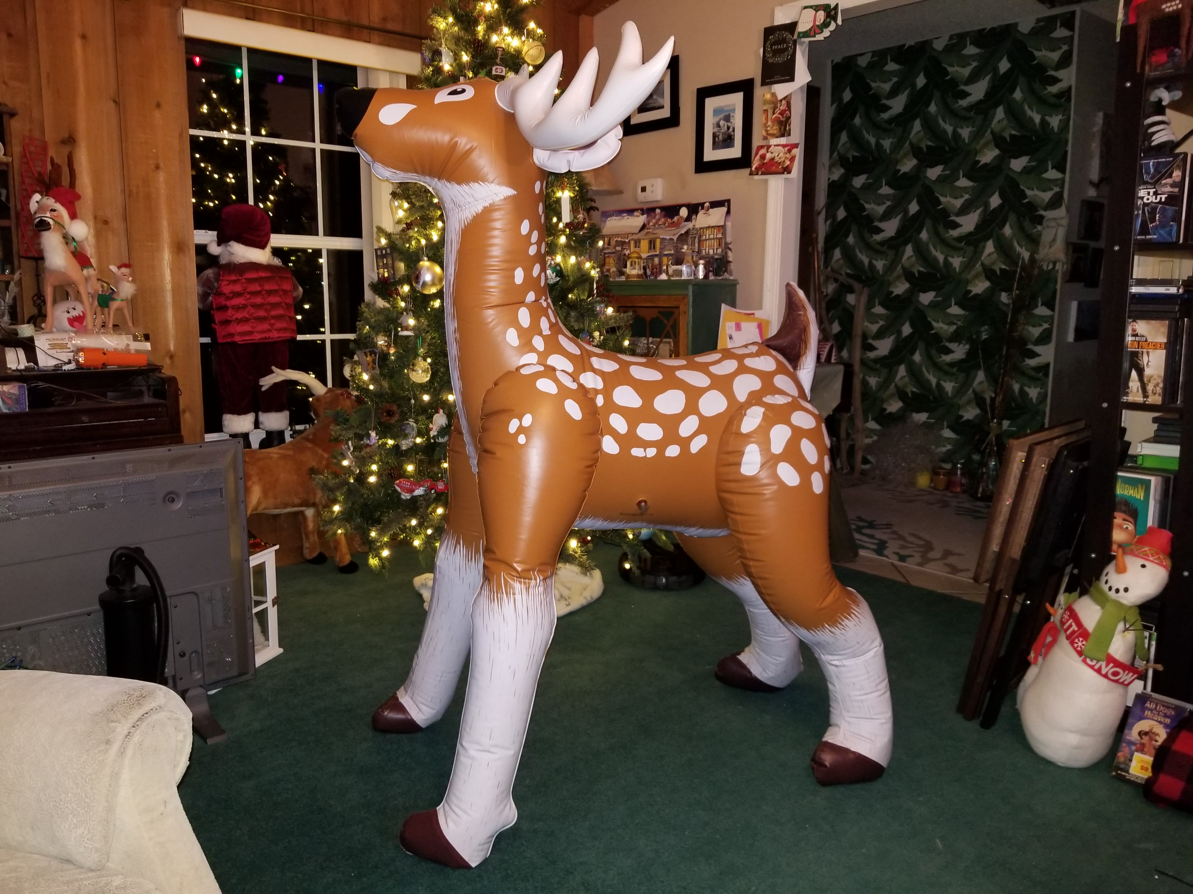 It's not Christmas without blow up reindeer!