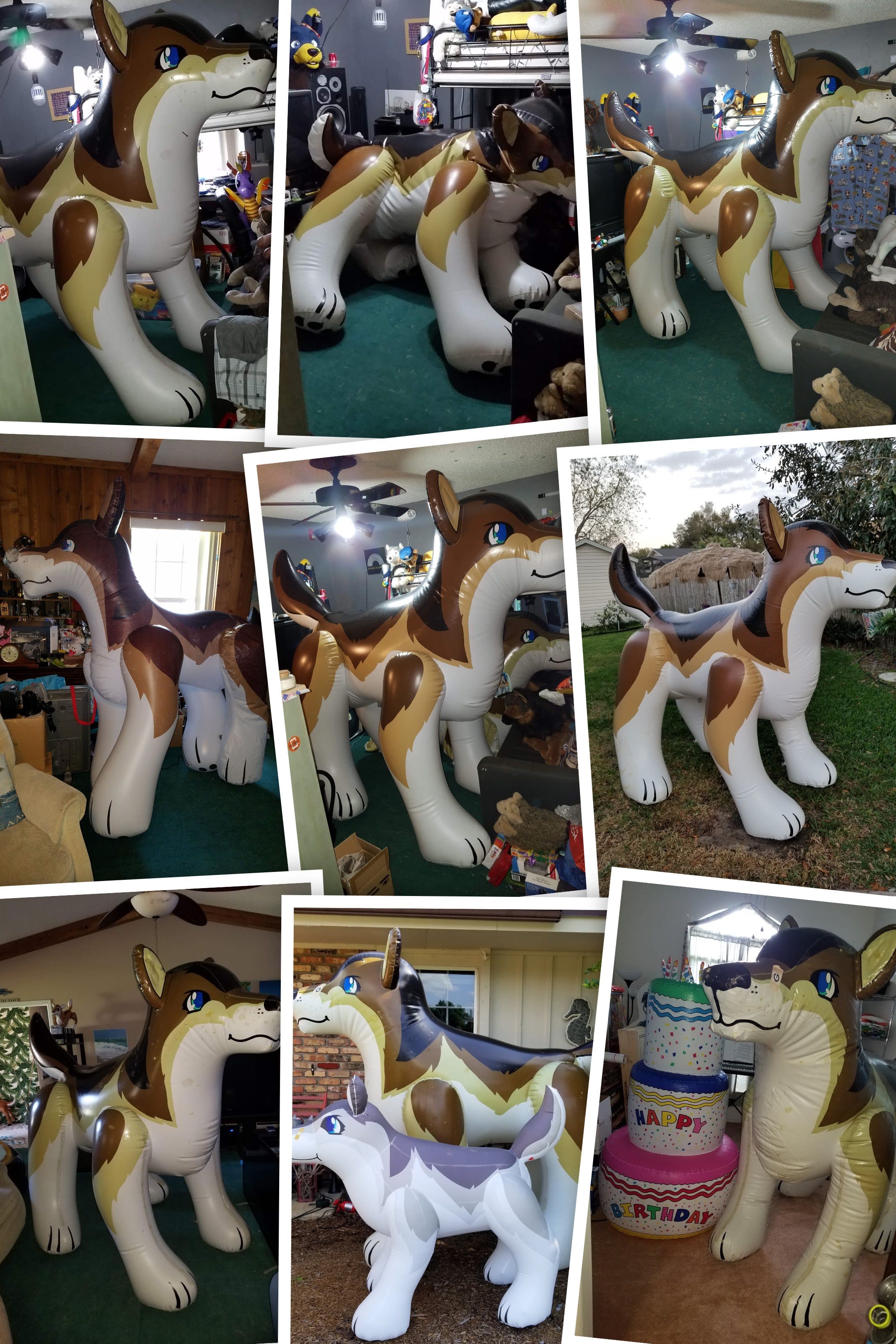 Collage! (Not all are actually Fen.)