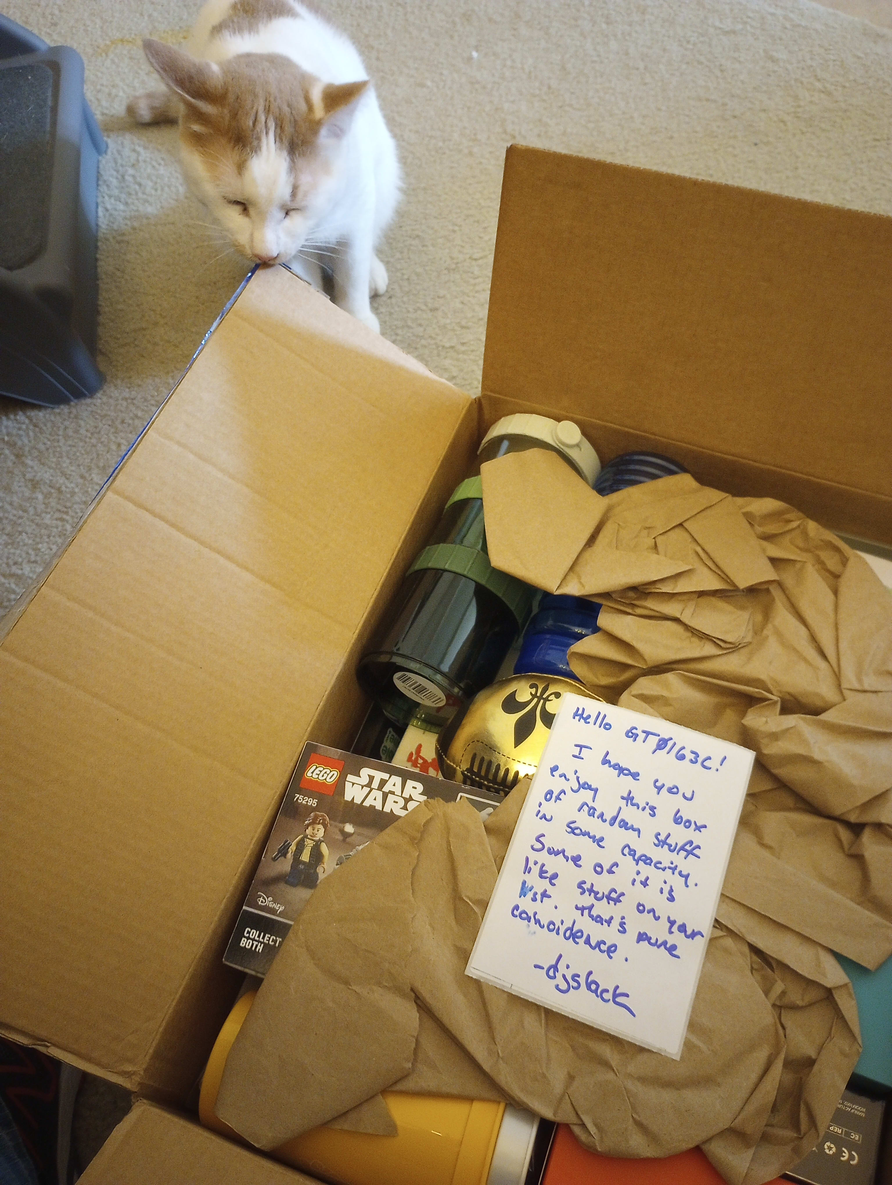 Pixel gives the box a chew and declares it a very fine box!
