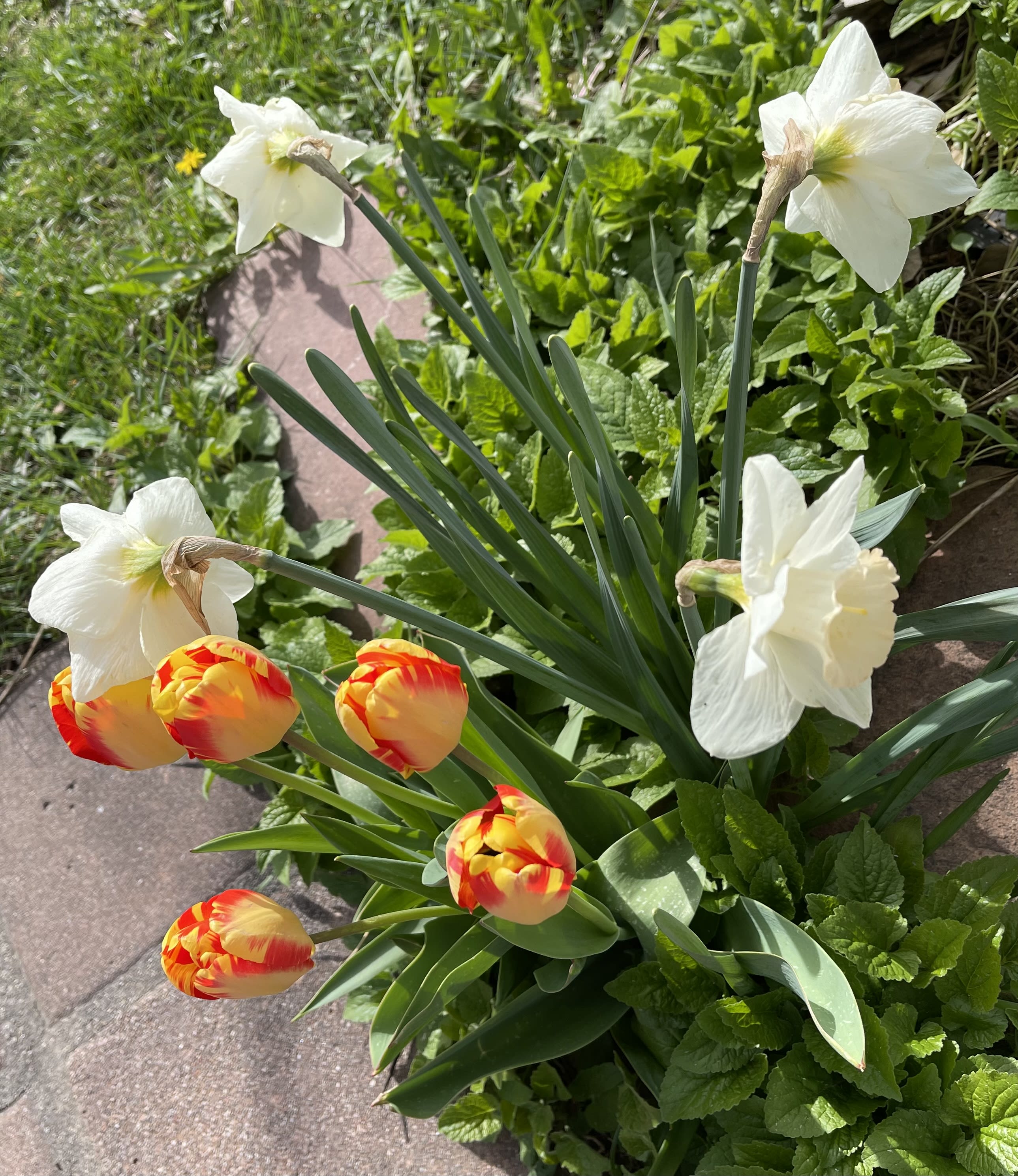 enter image description here