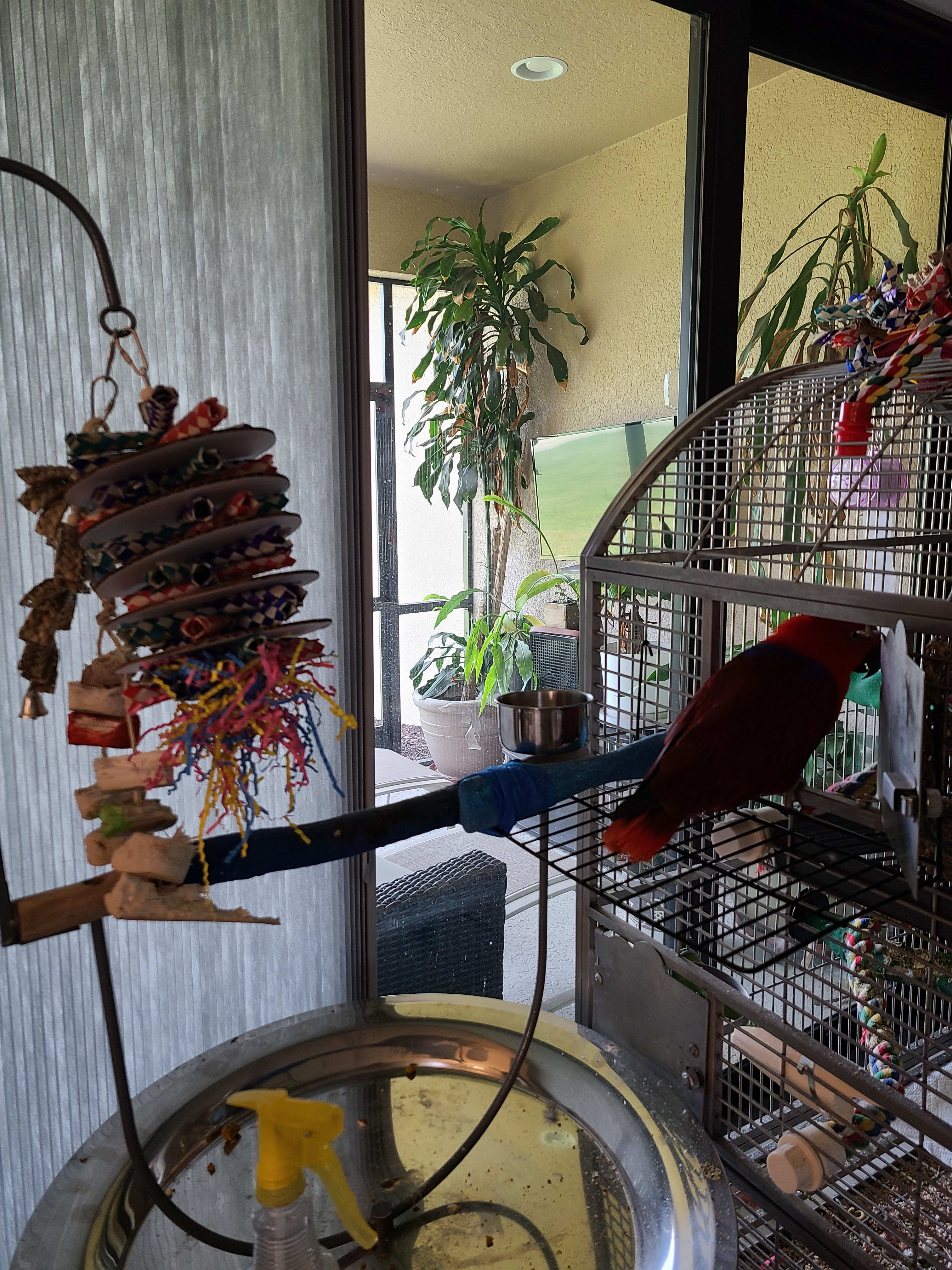 enter image description here