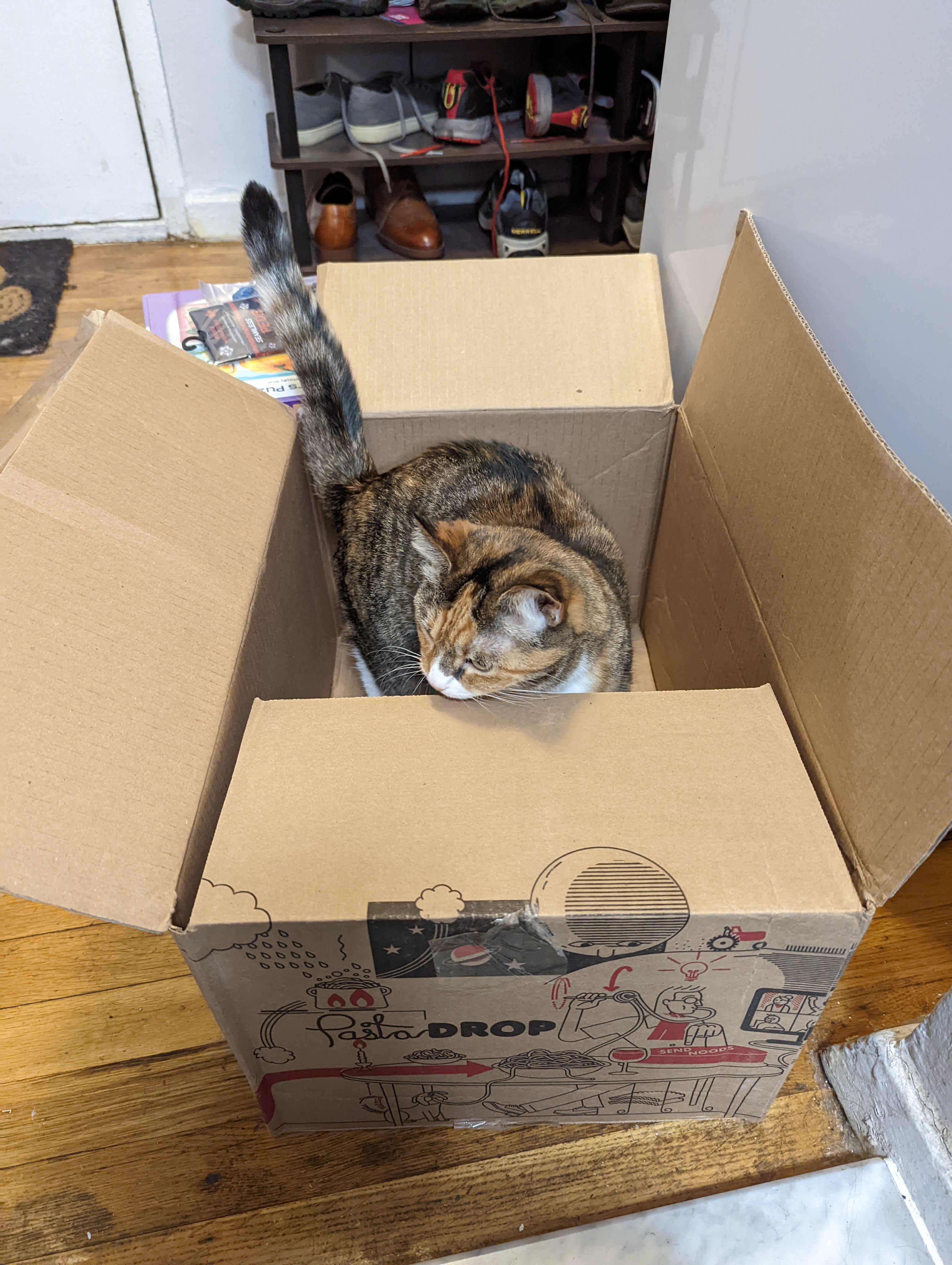 catbox