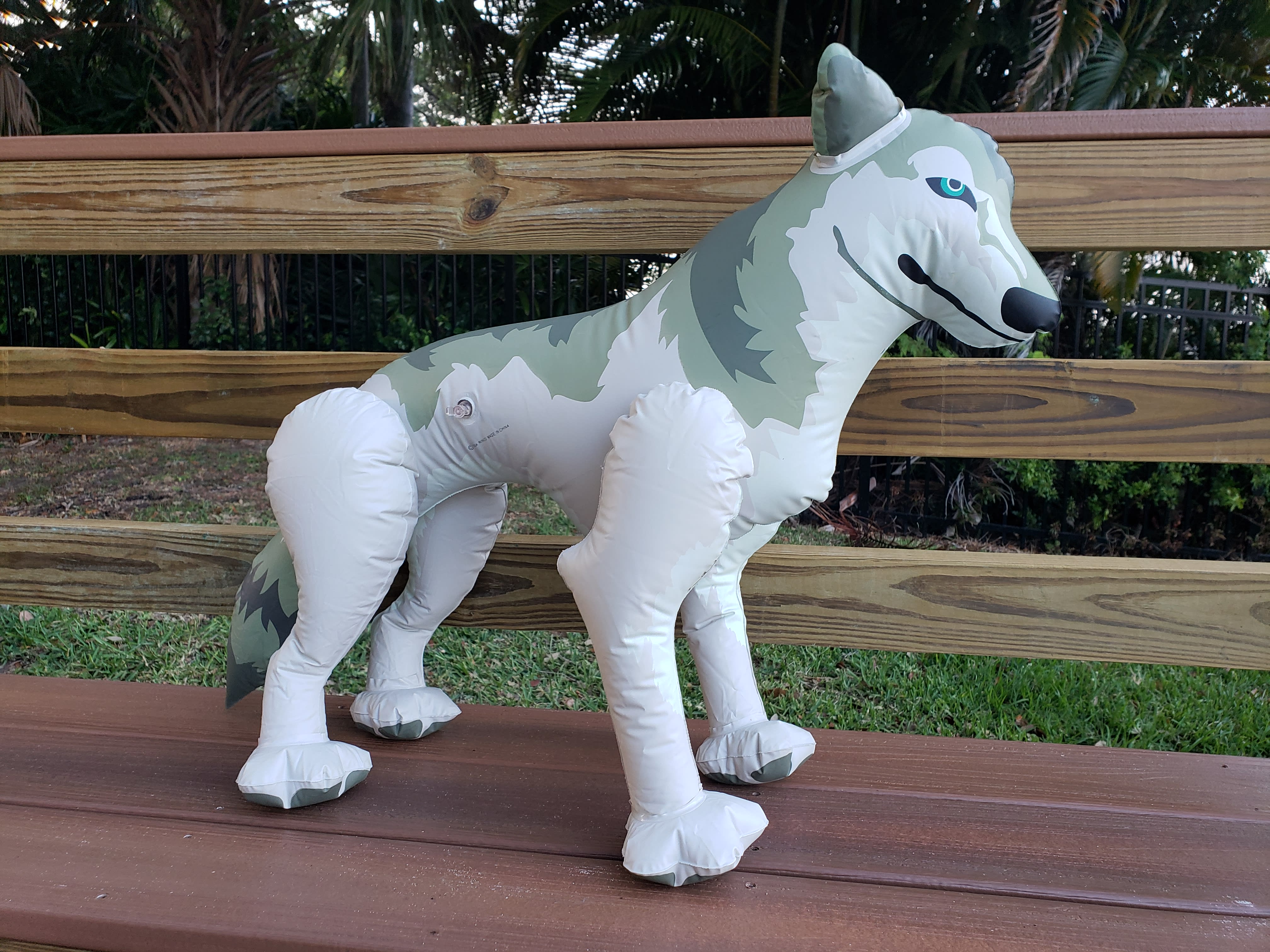 Lucky, my little blow up wolf!