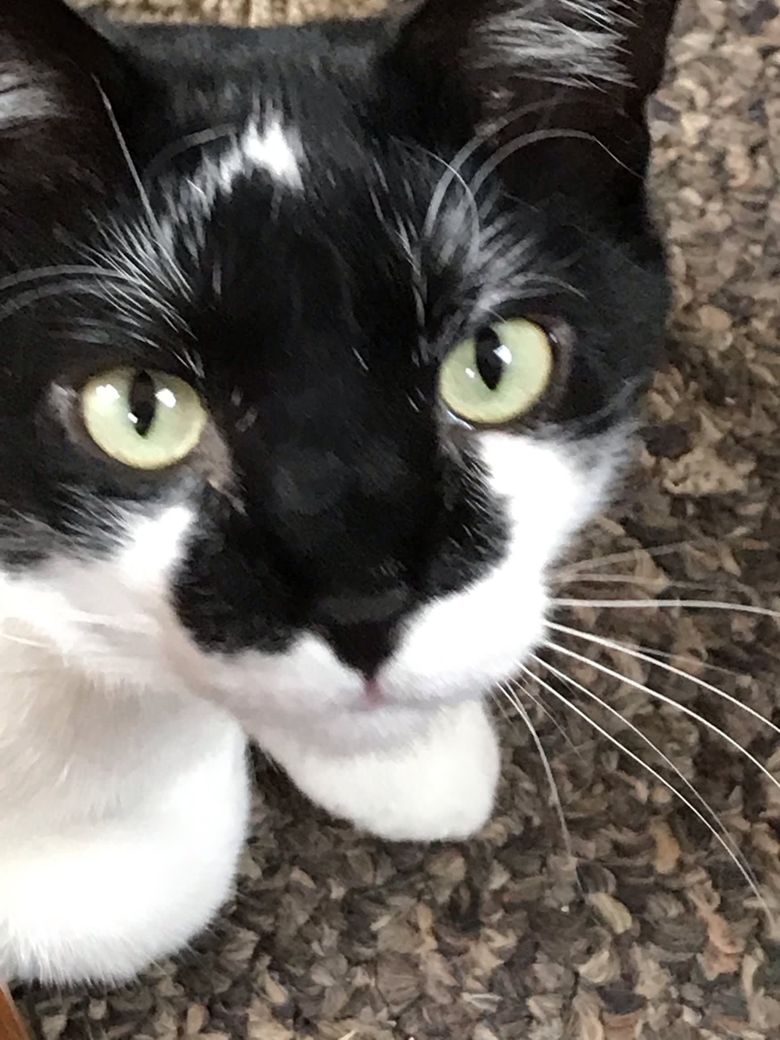 enter image description here