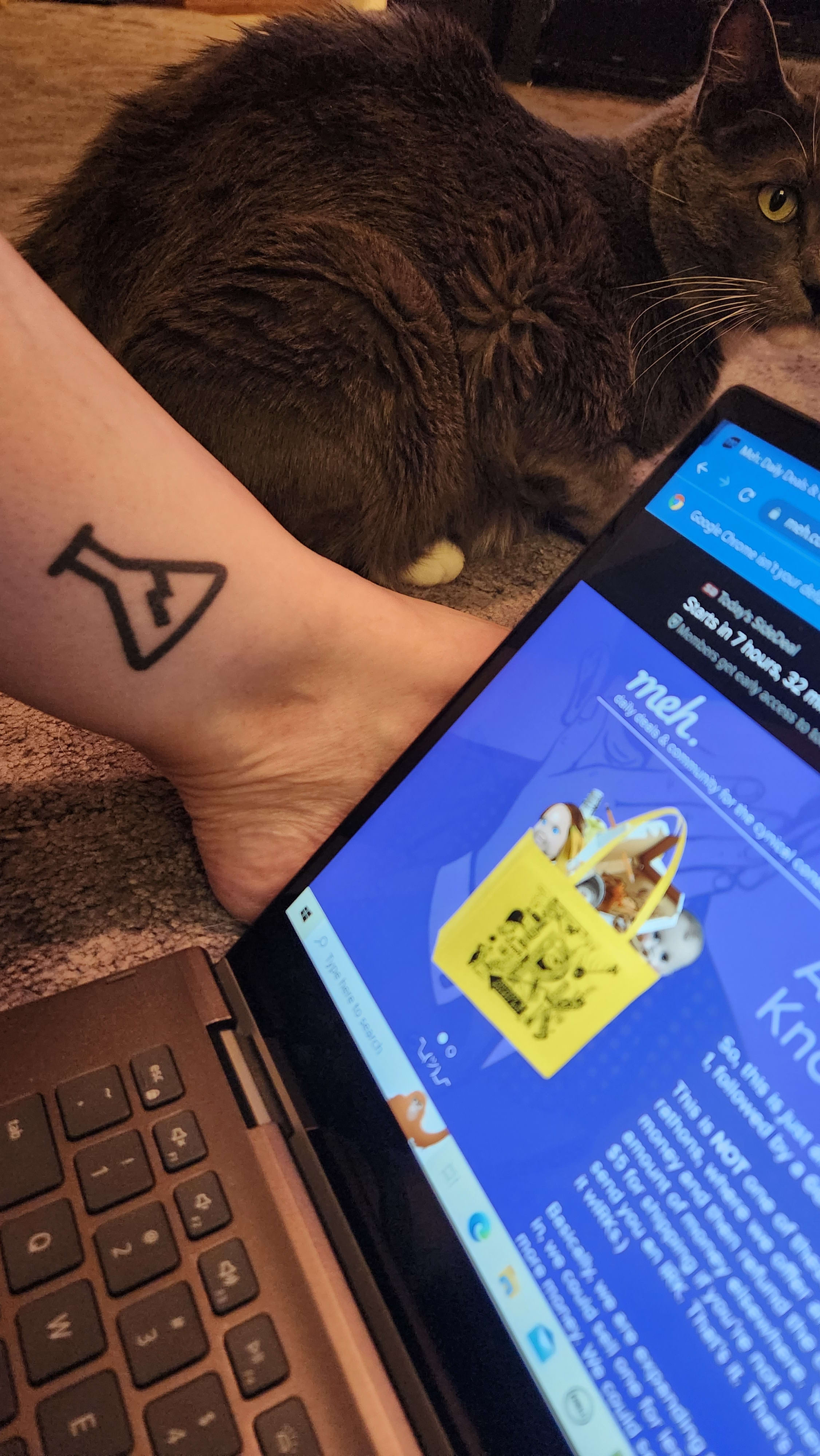 enter image description here