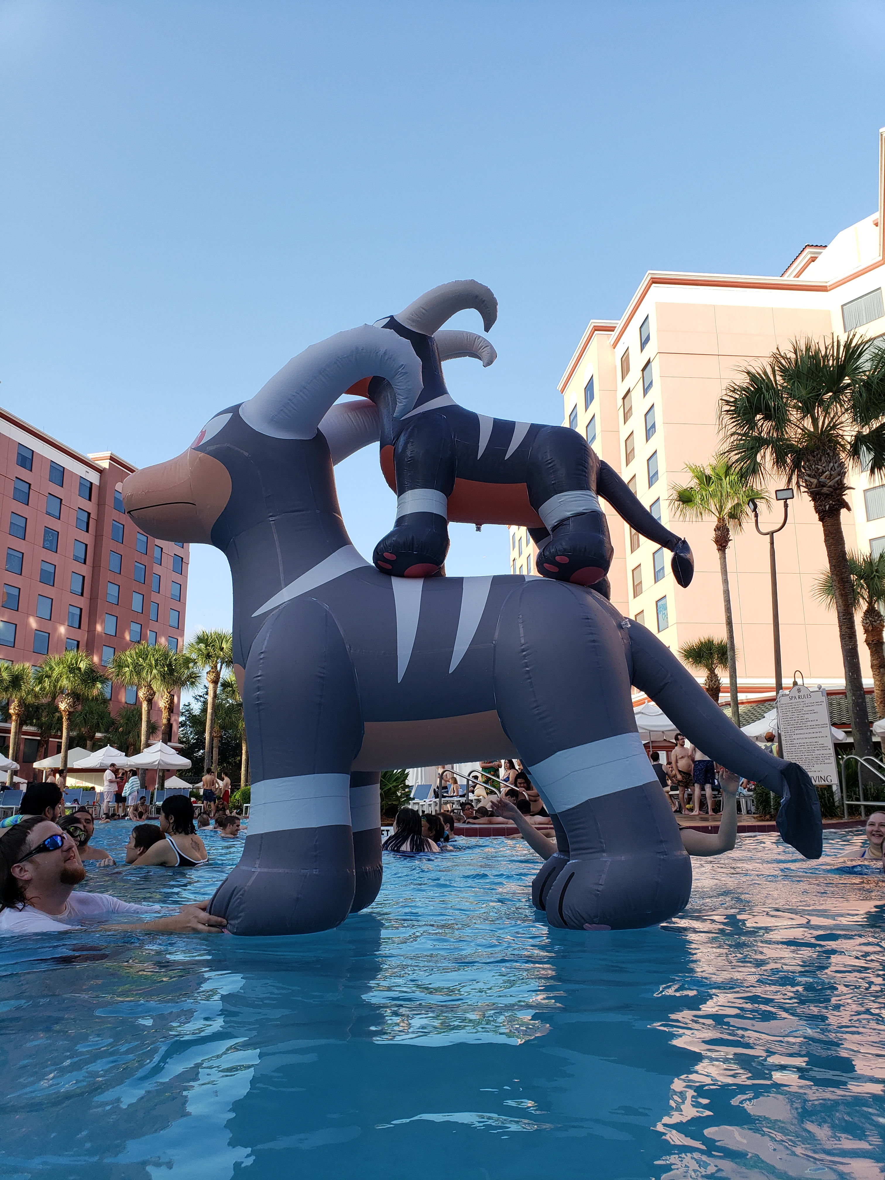 In the pool during Megaplex 2022