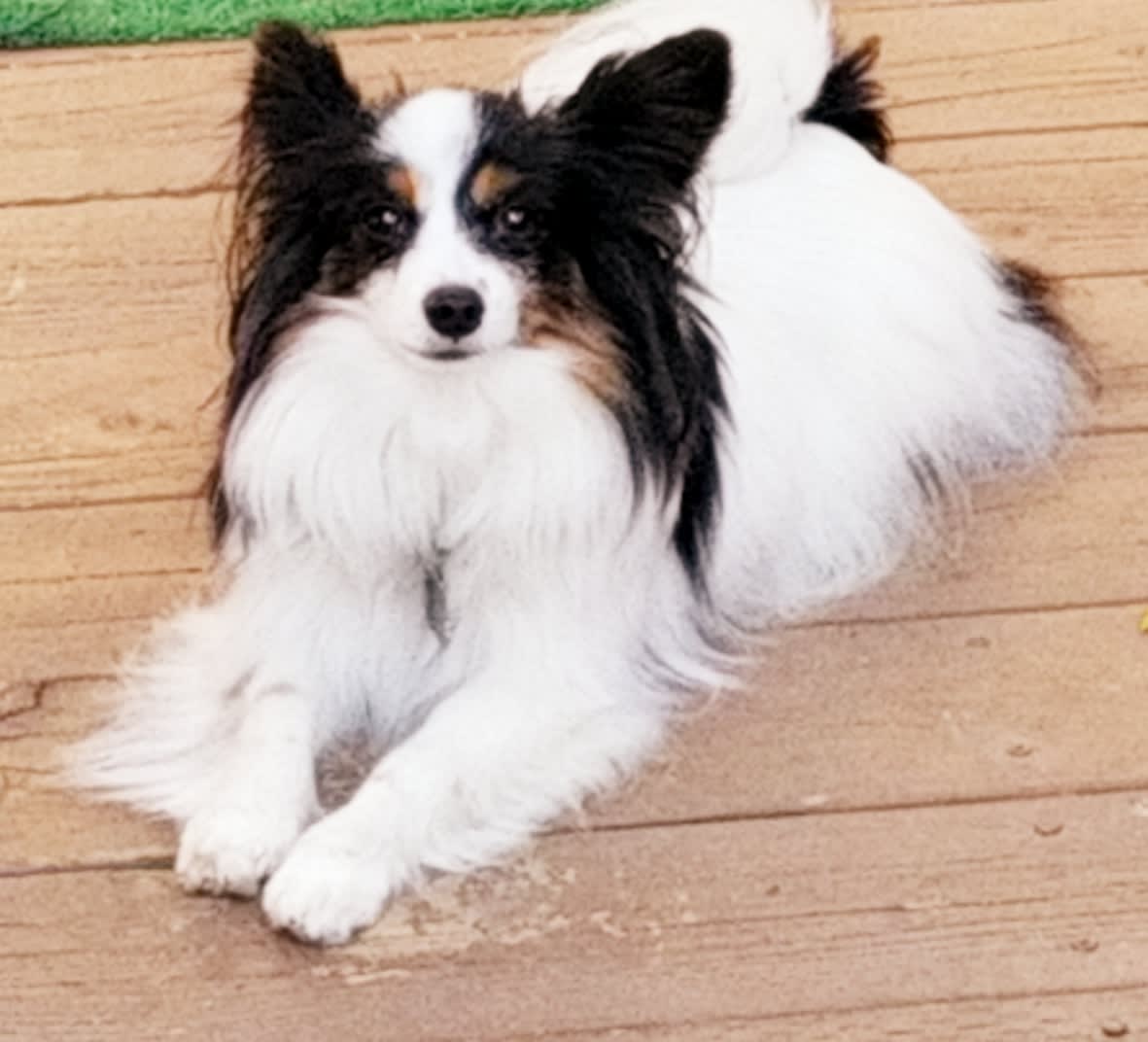 enter image description here