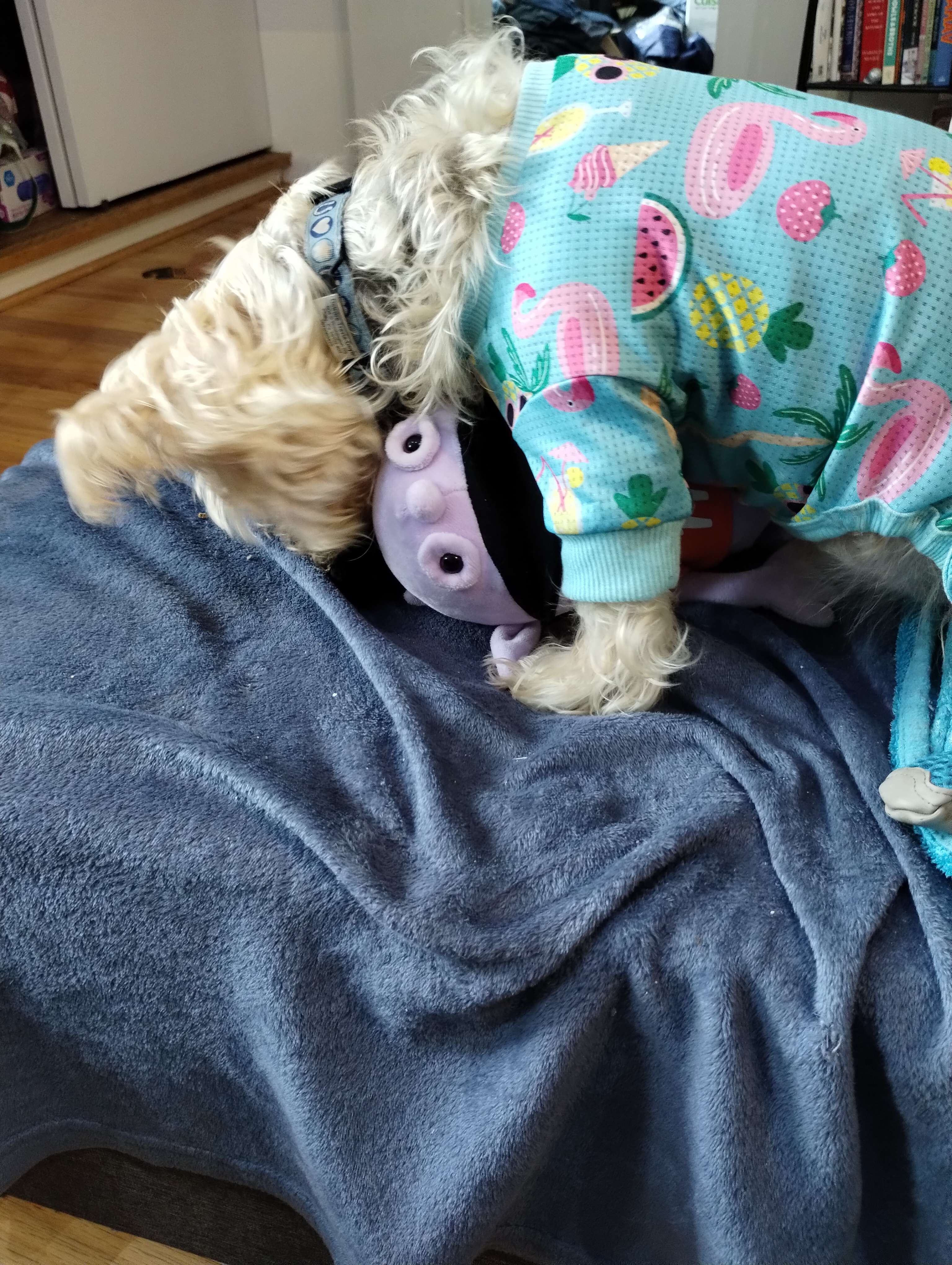 less blurry photo taken moments later where Irk is getting his face bitten (or slurped, probably)