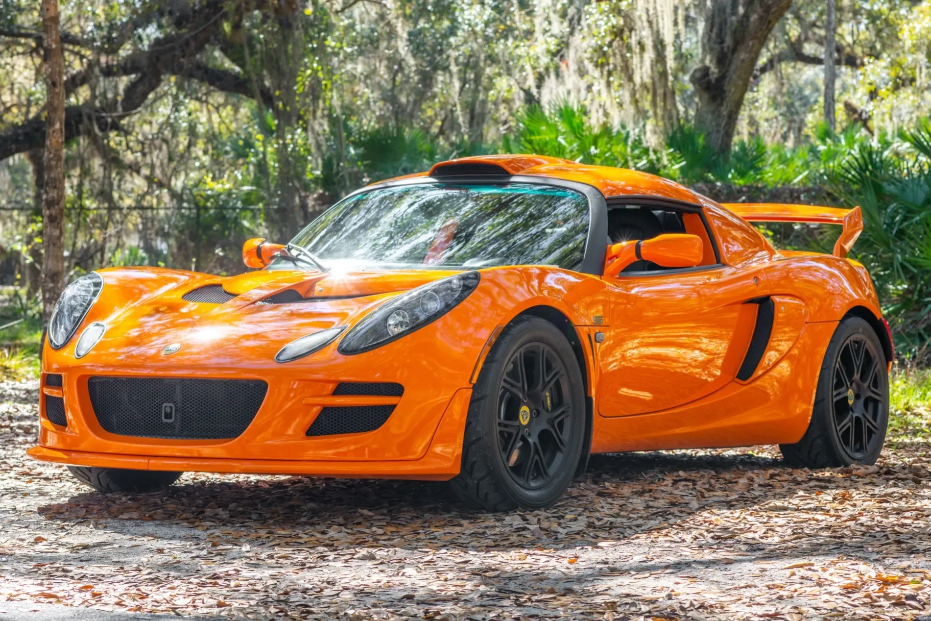 Exige