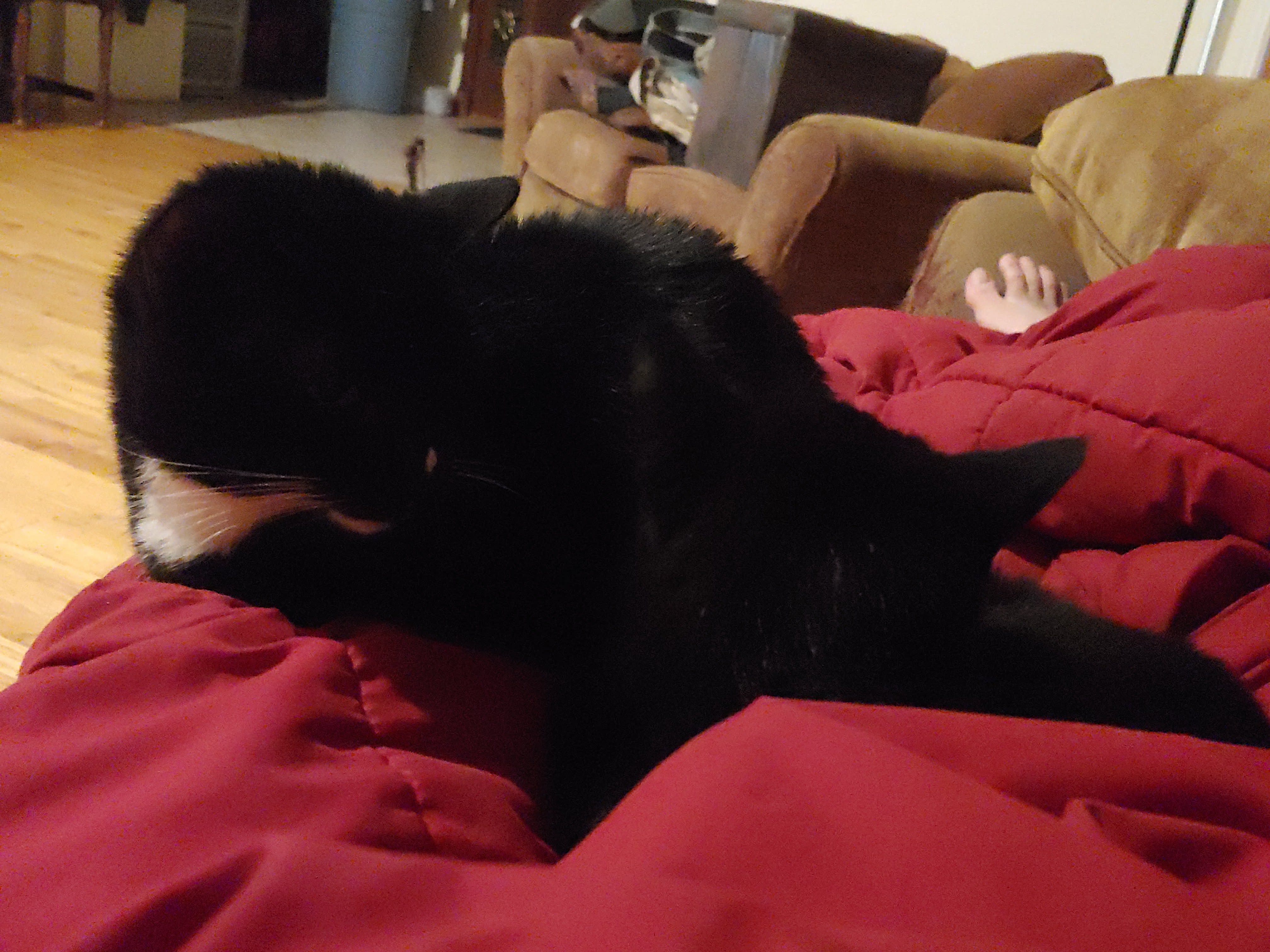 enter image description here