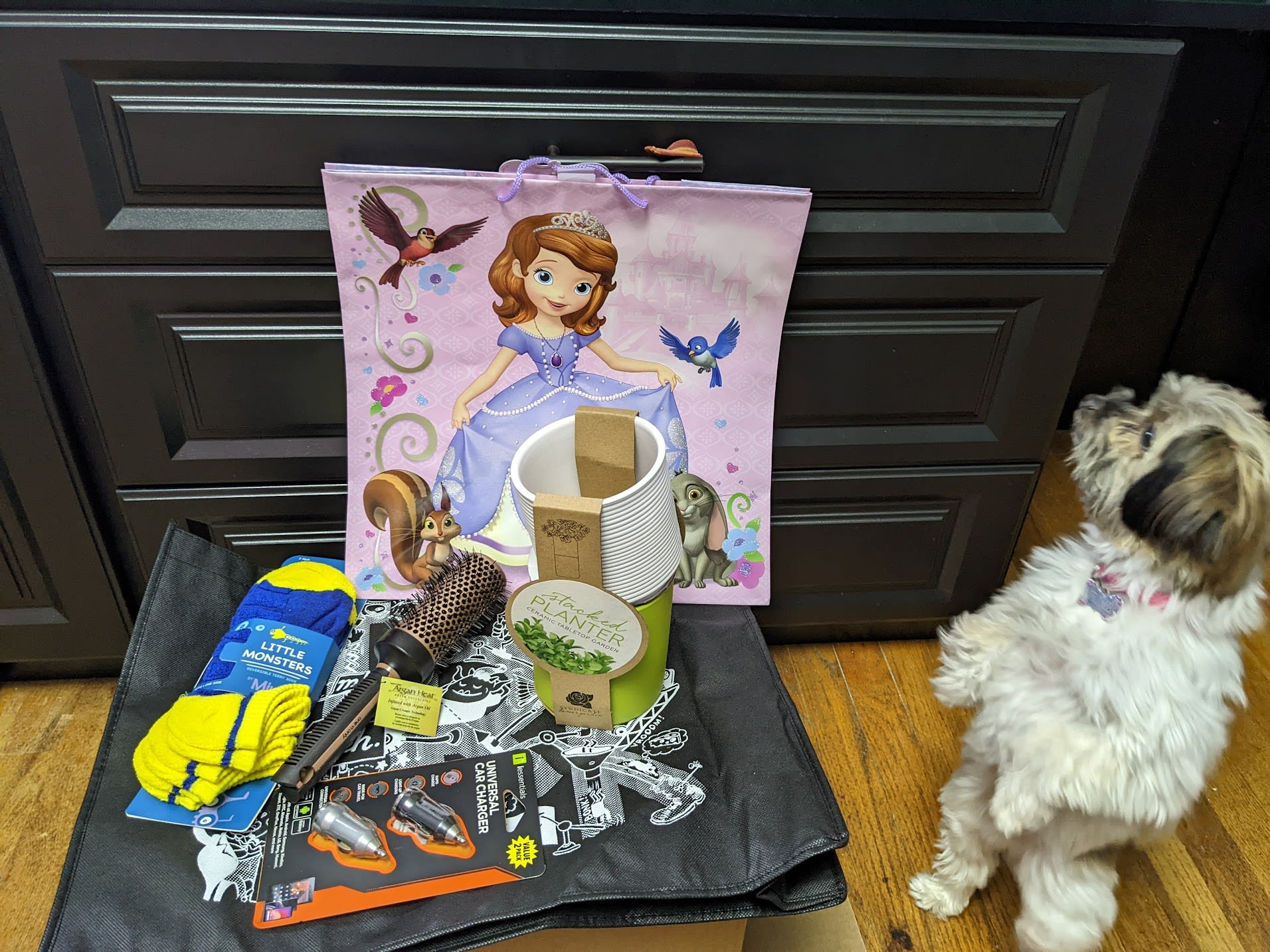 IRK with listed items and my wife's dog