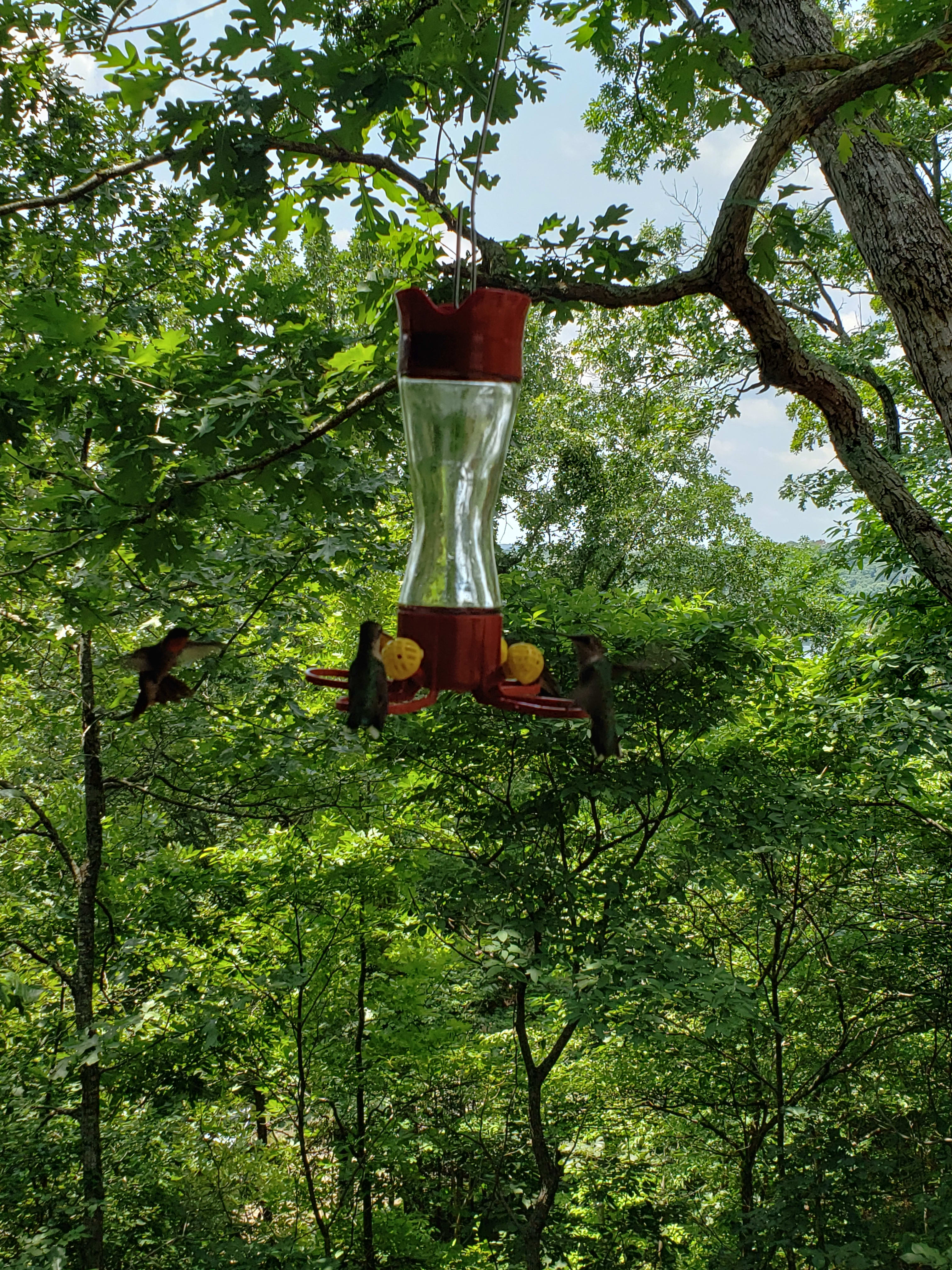 enter image description here