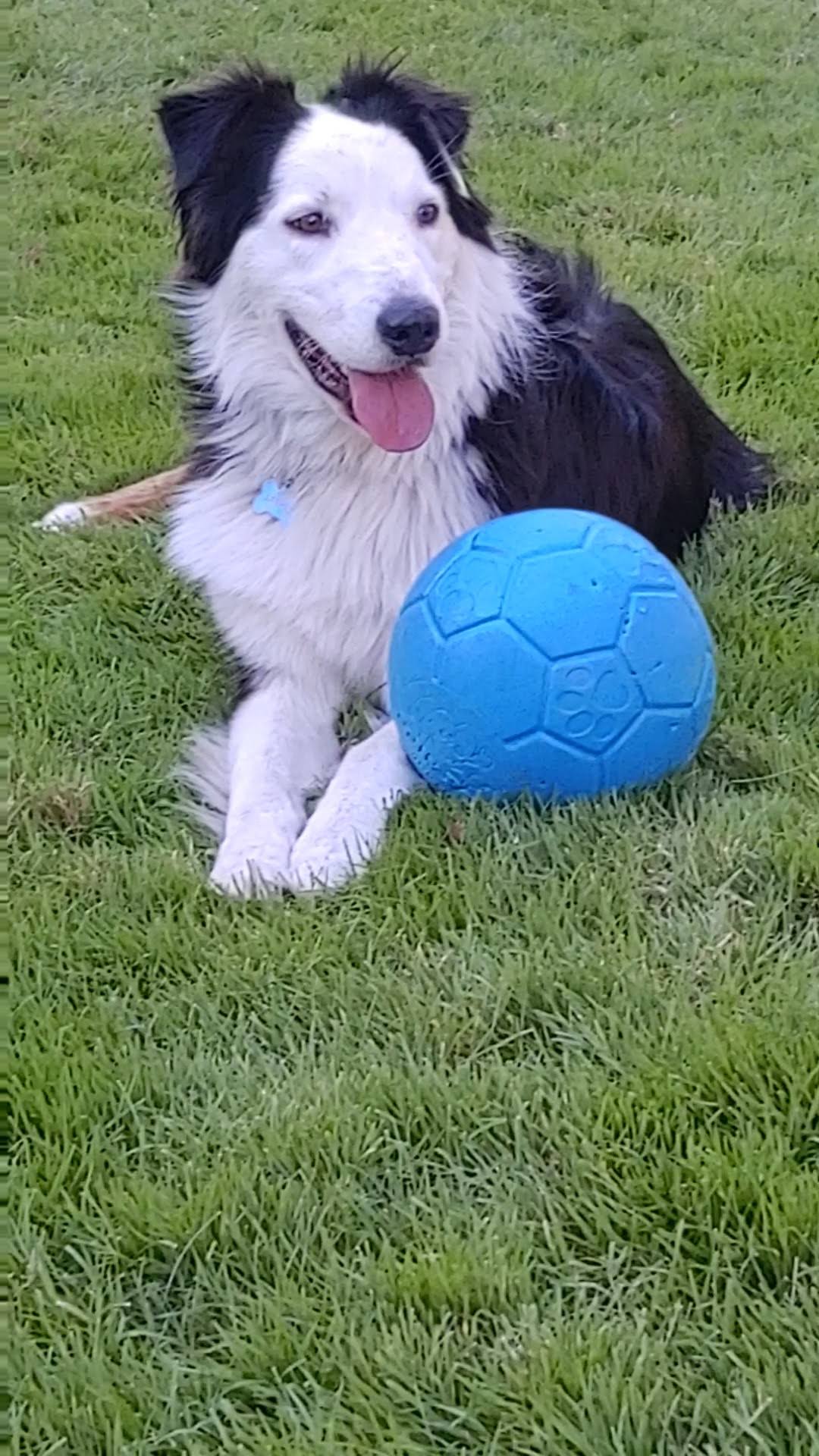 Jasper's glamour shot