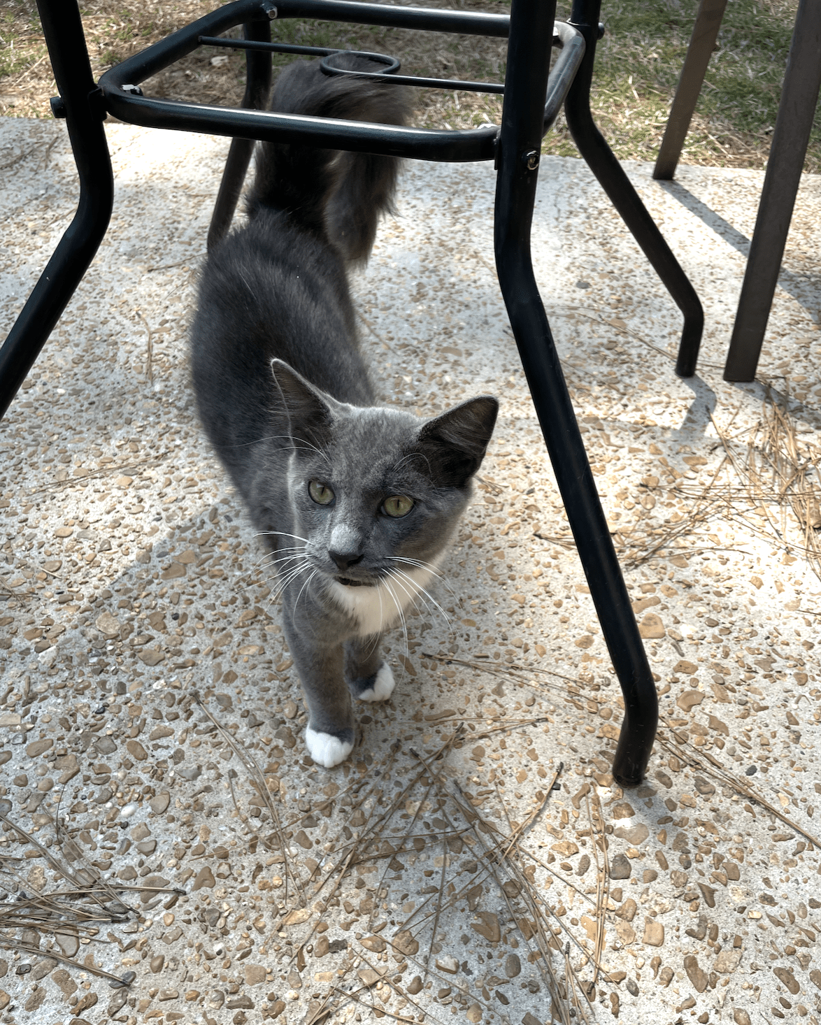 enter image description here