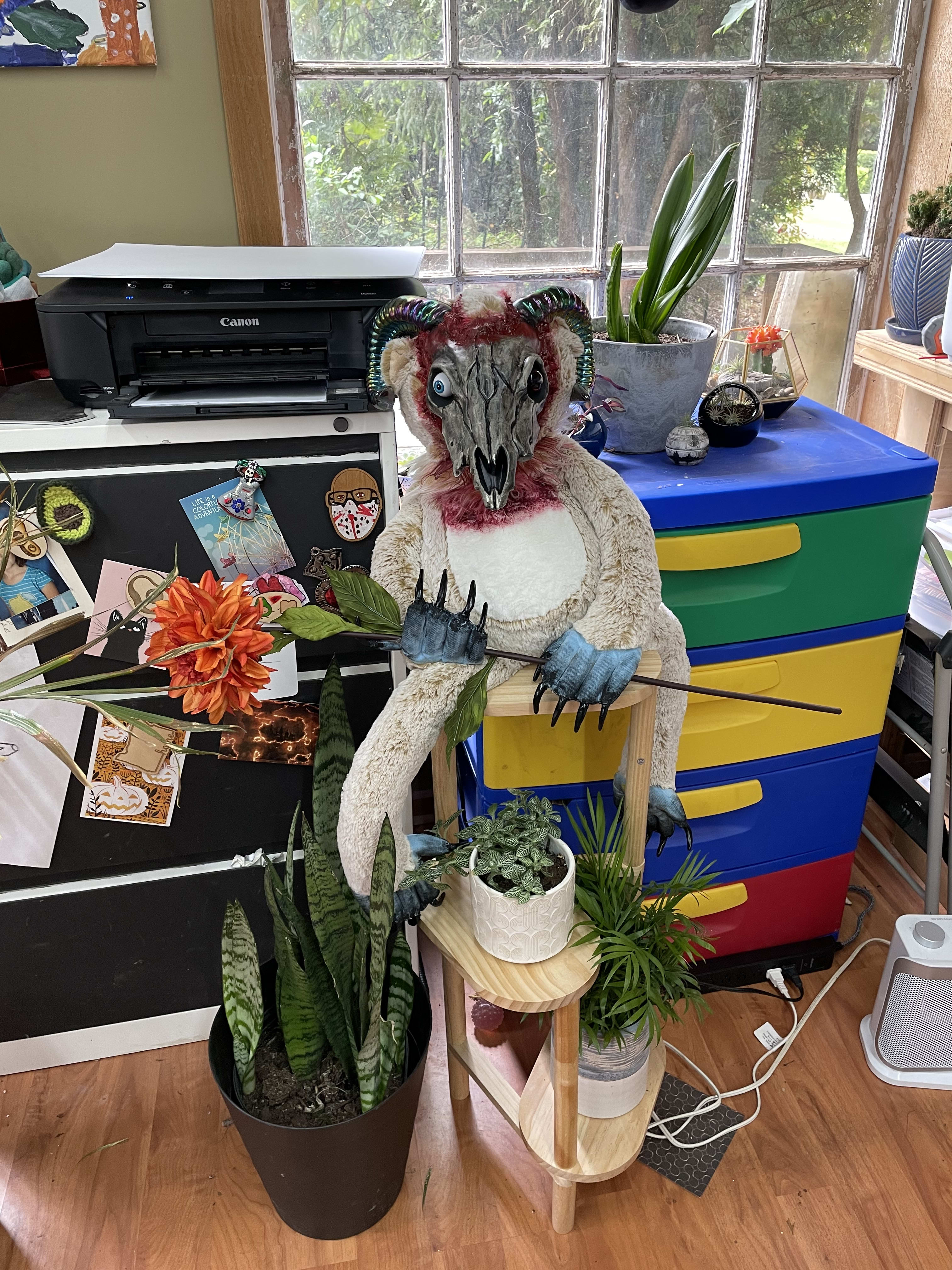 enter image description here