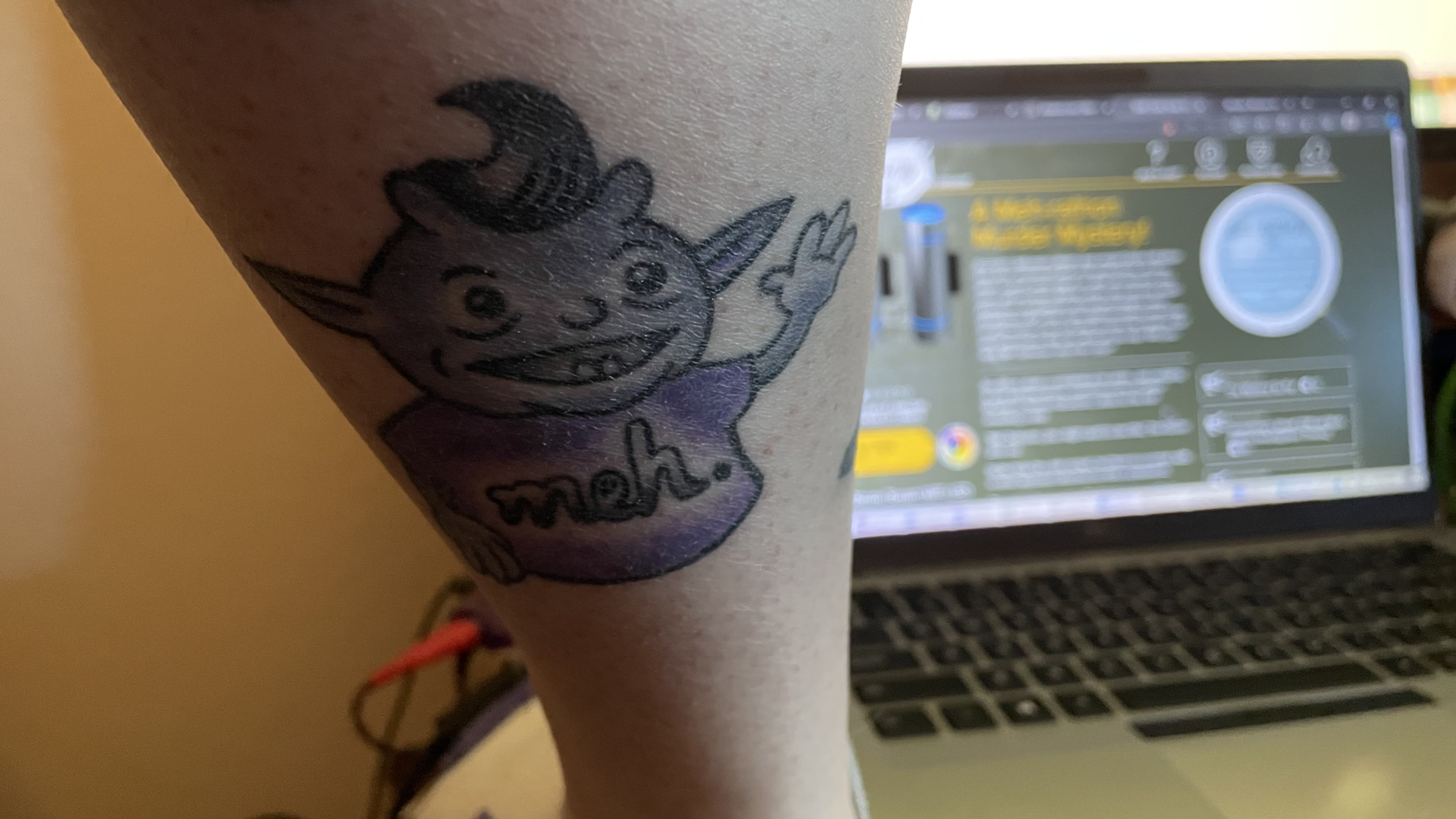 enter image description here