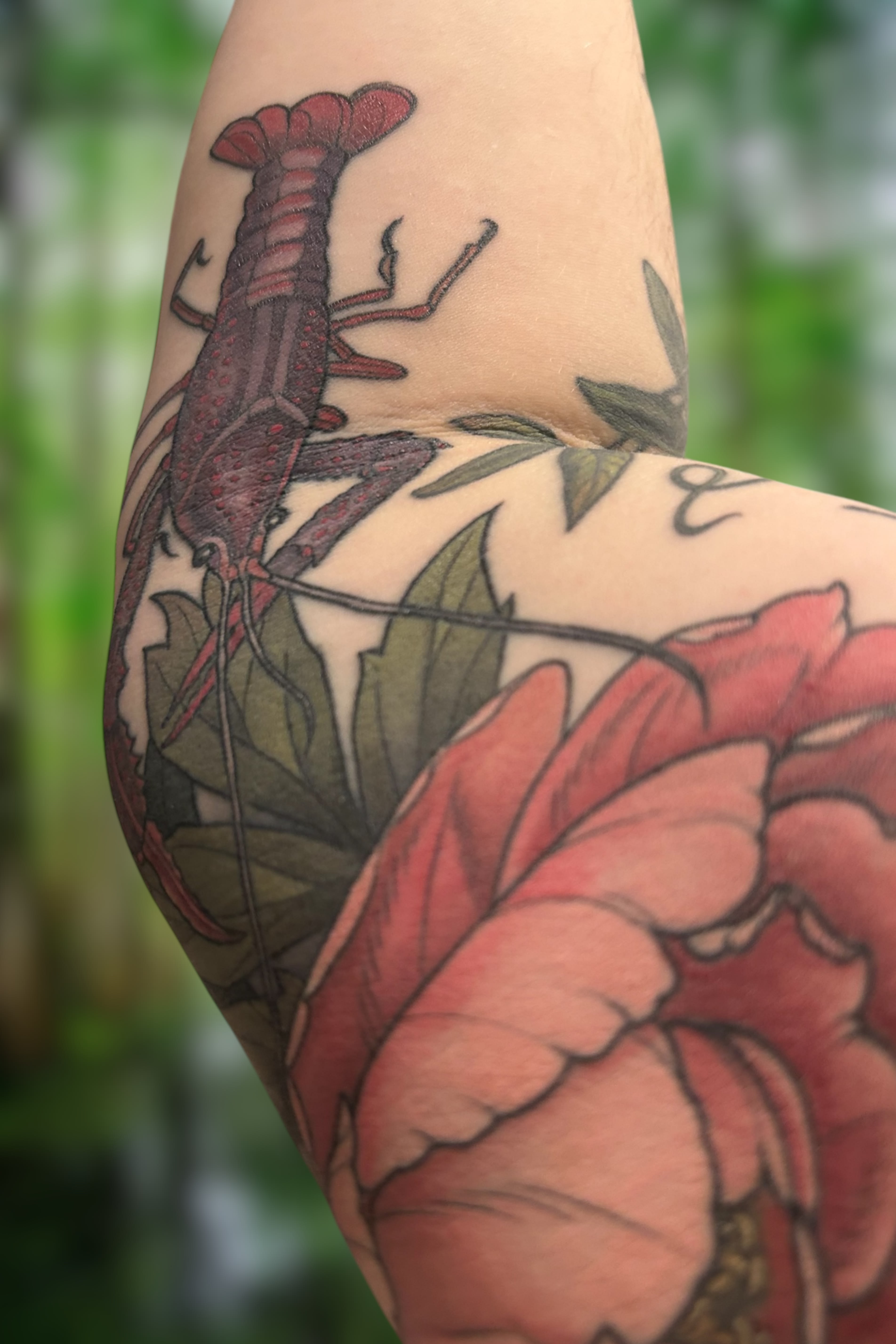 enter image description here