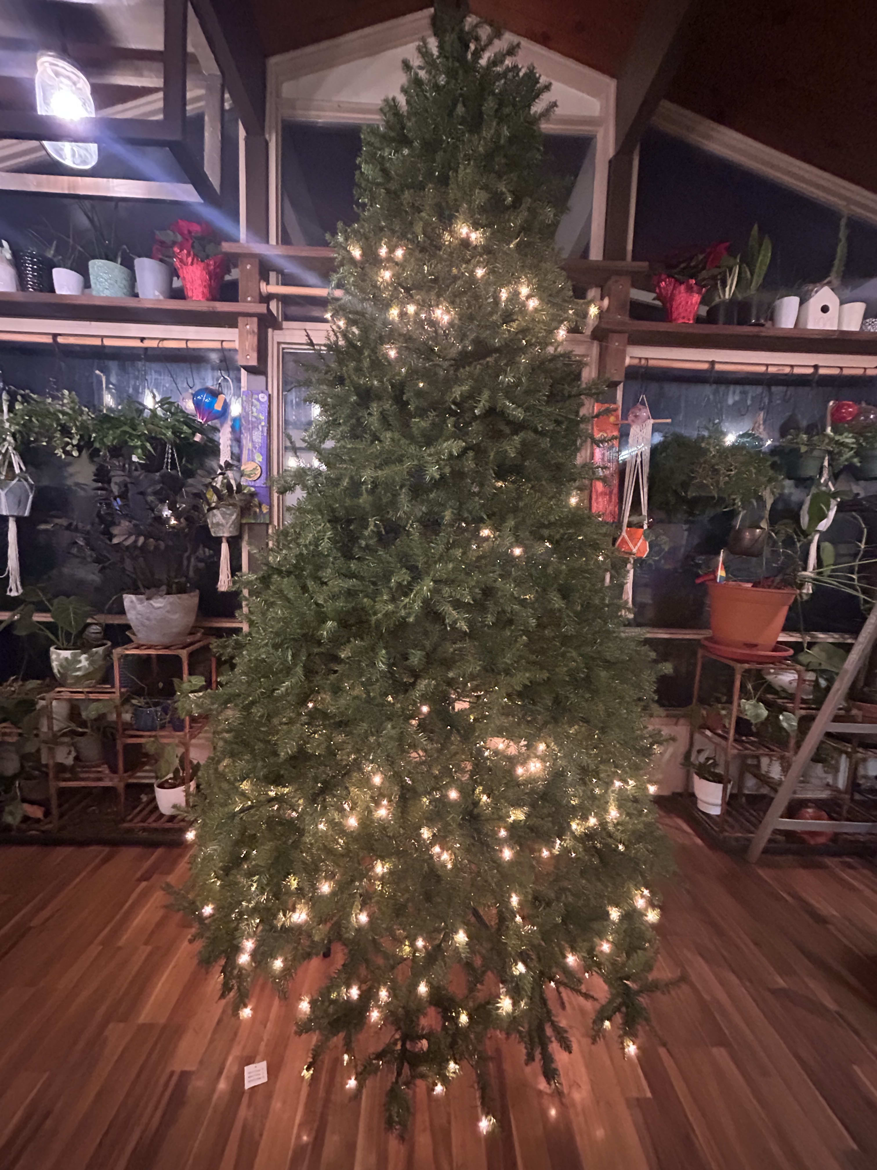 enter image description here