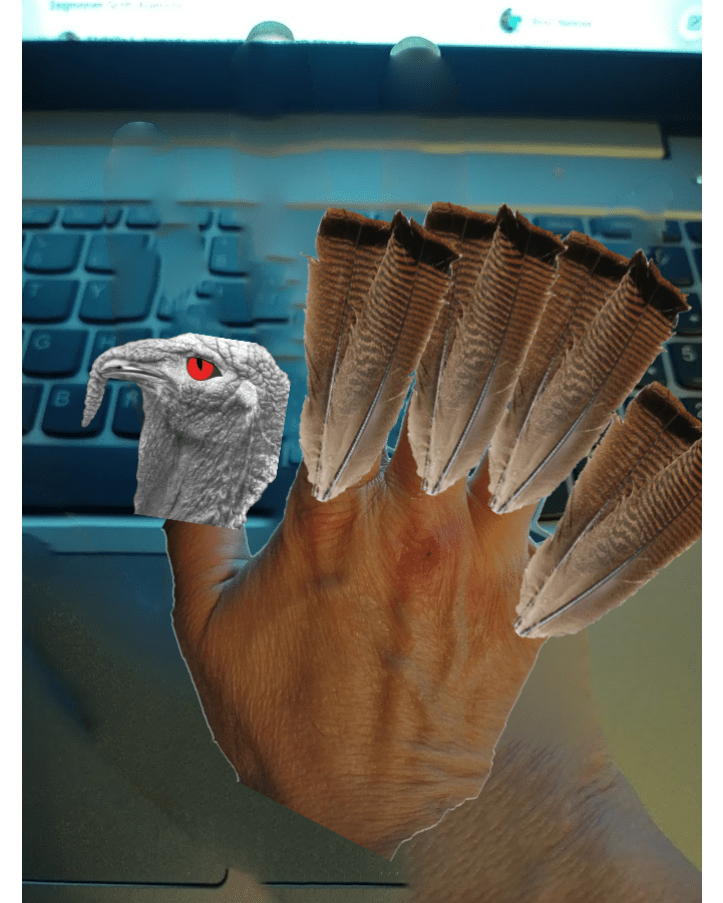 enter image description here