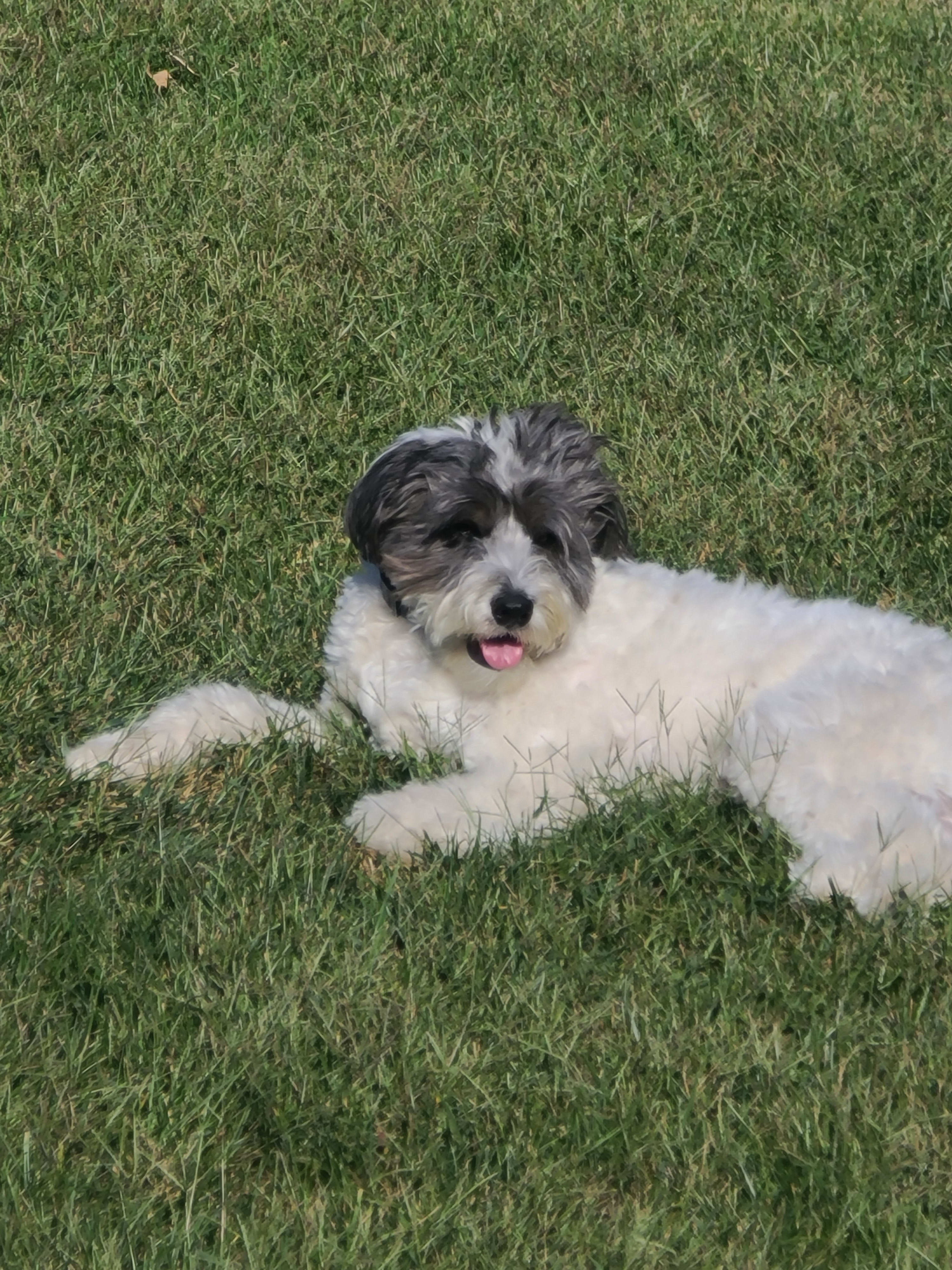 enter image description here