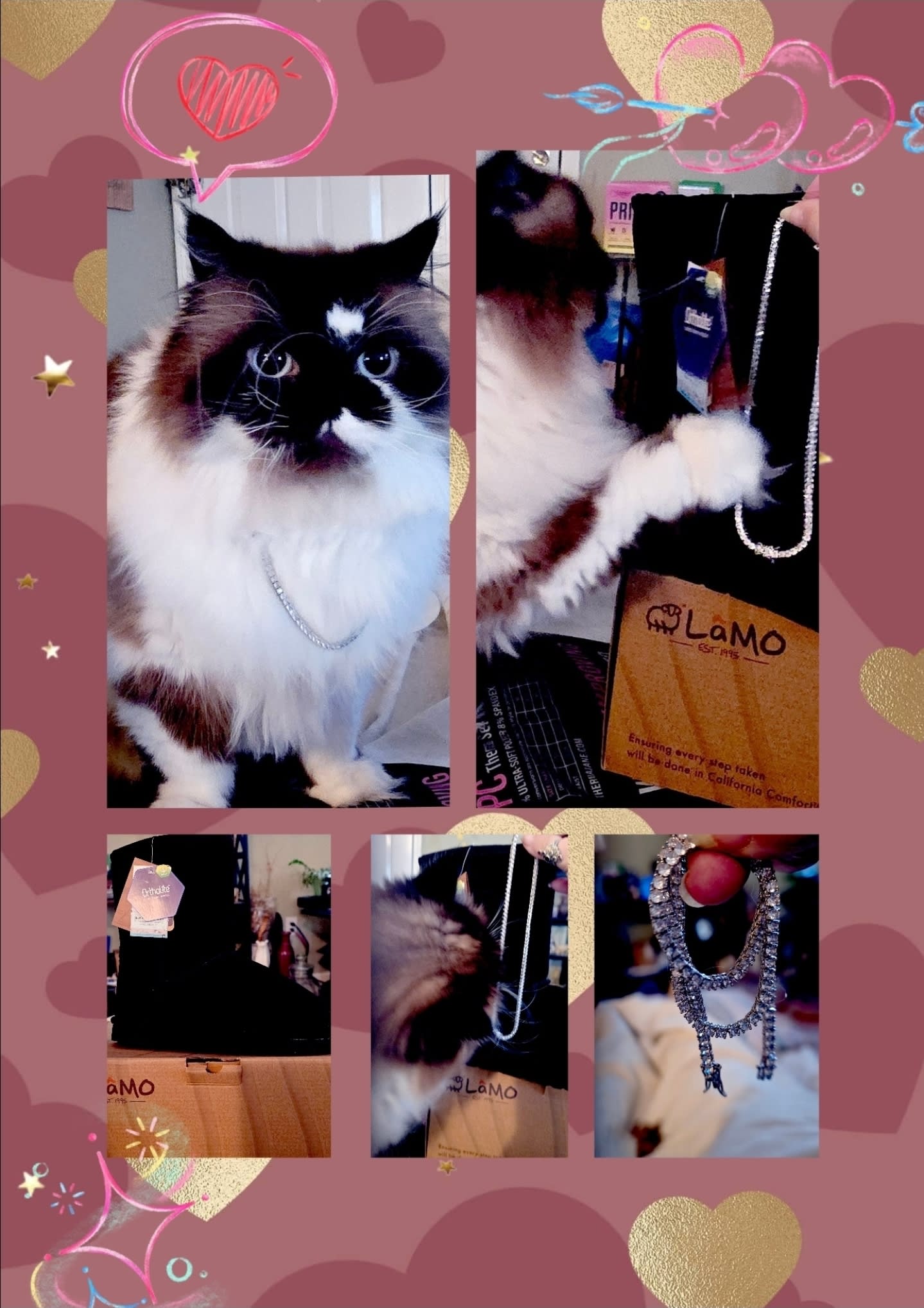 Tuc is modeling that VERY sparkly necklace. And yes, the pictures don't do justice to anything, that's MY fault. 🫣 📸 🤷‍♀️