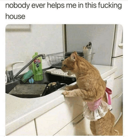 Nobody helps me Clean this effing house